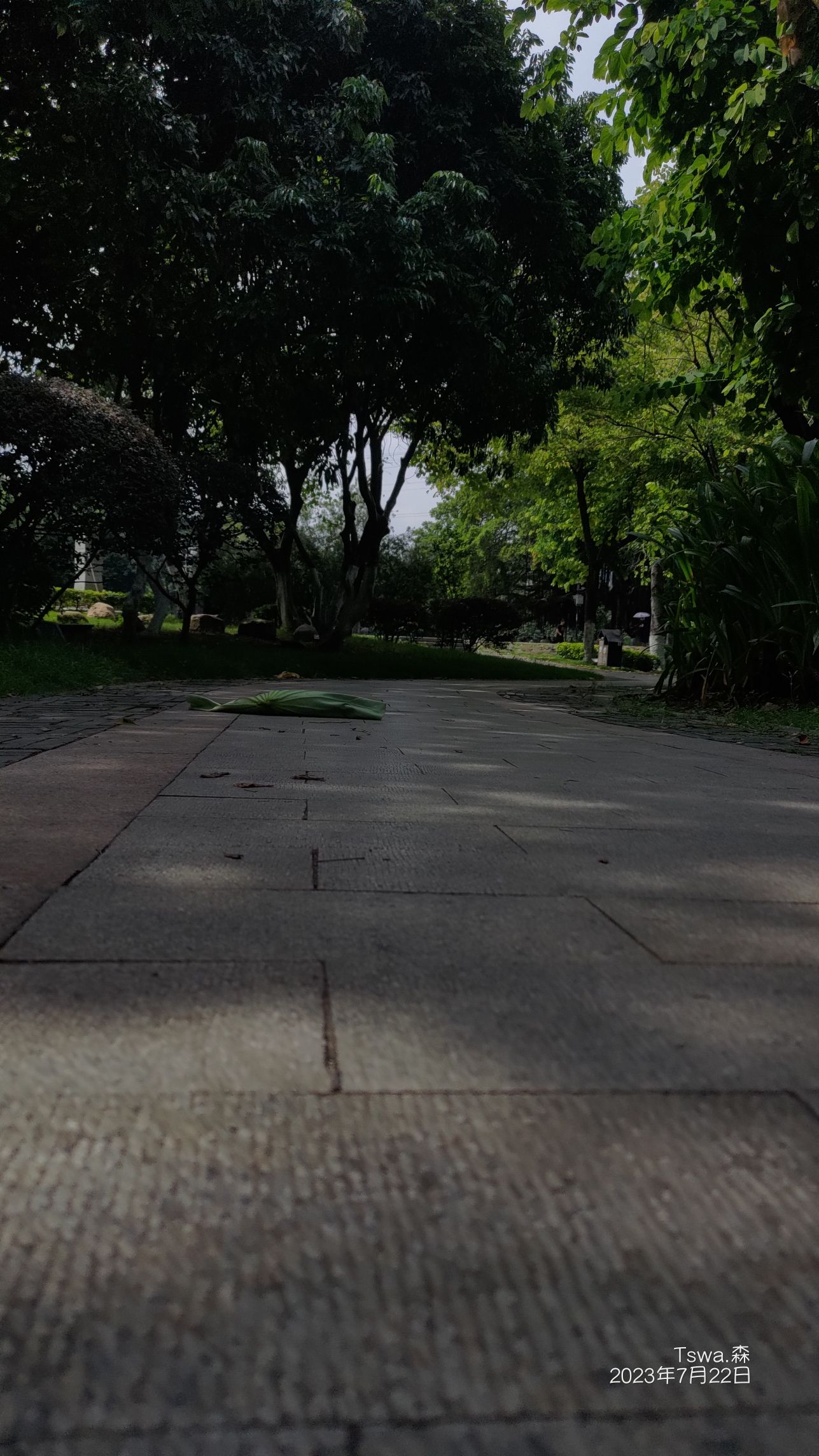 绶溪古渡