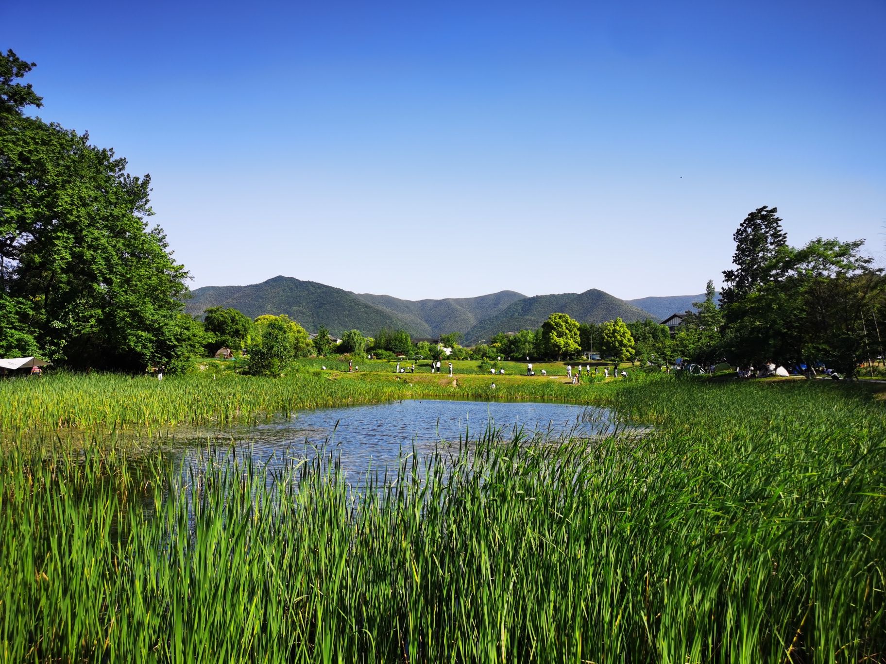 雅达阳羡溪山滨湖公园