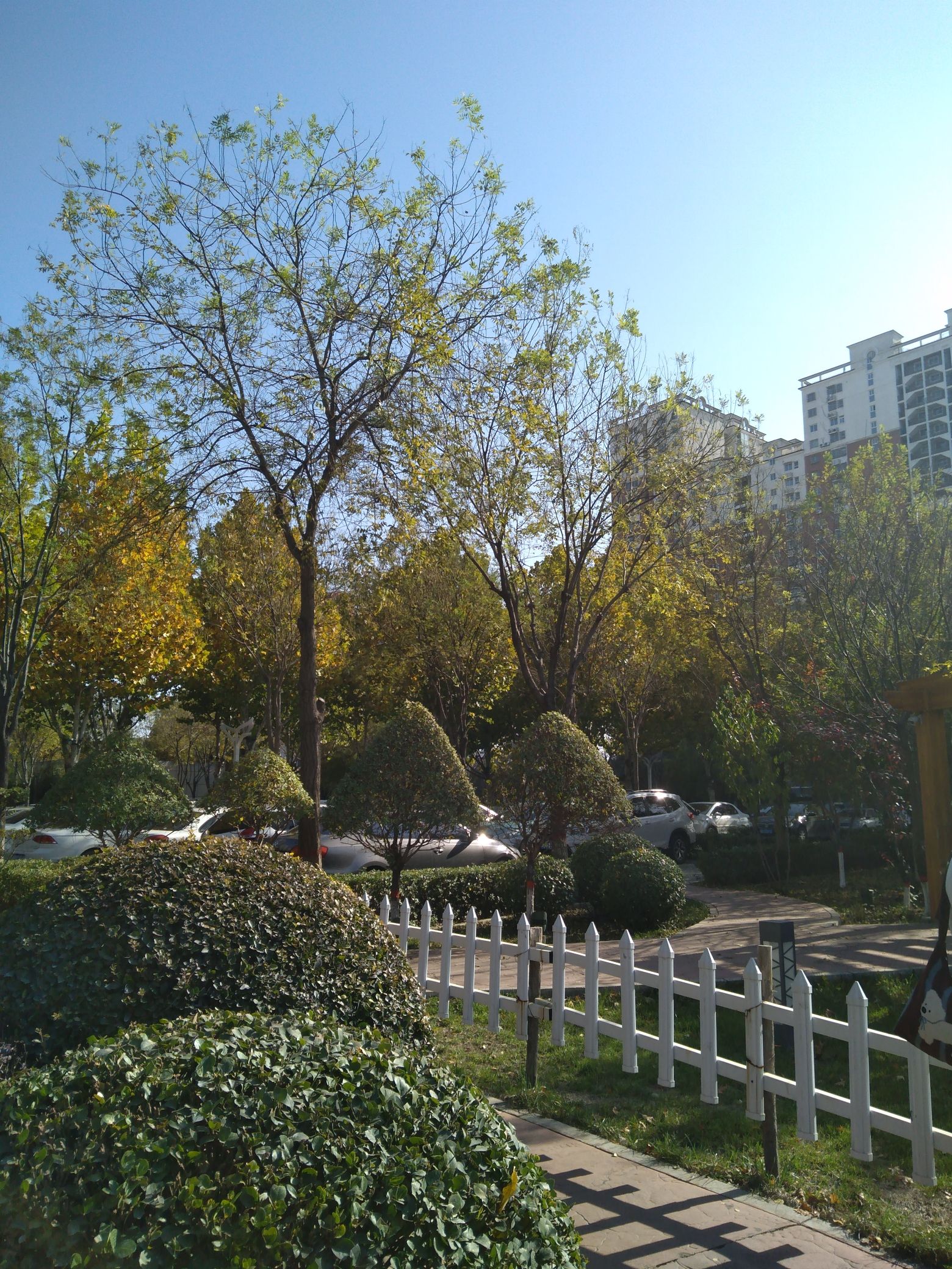 唐山市丰南区街心公园