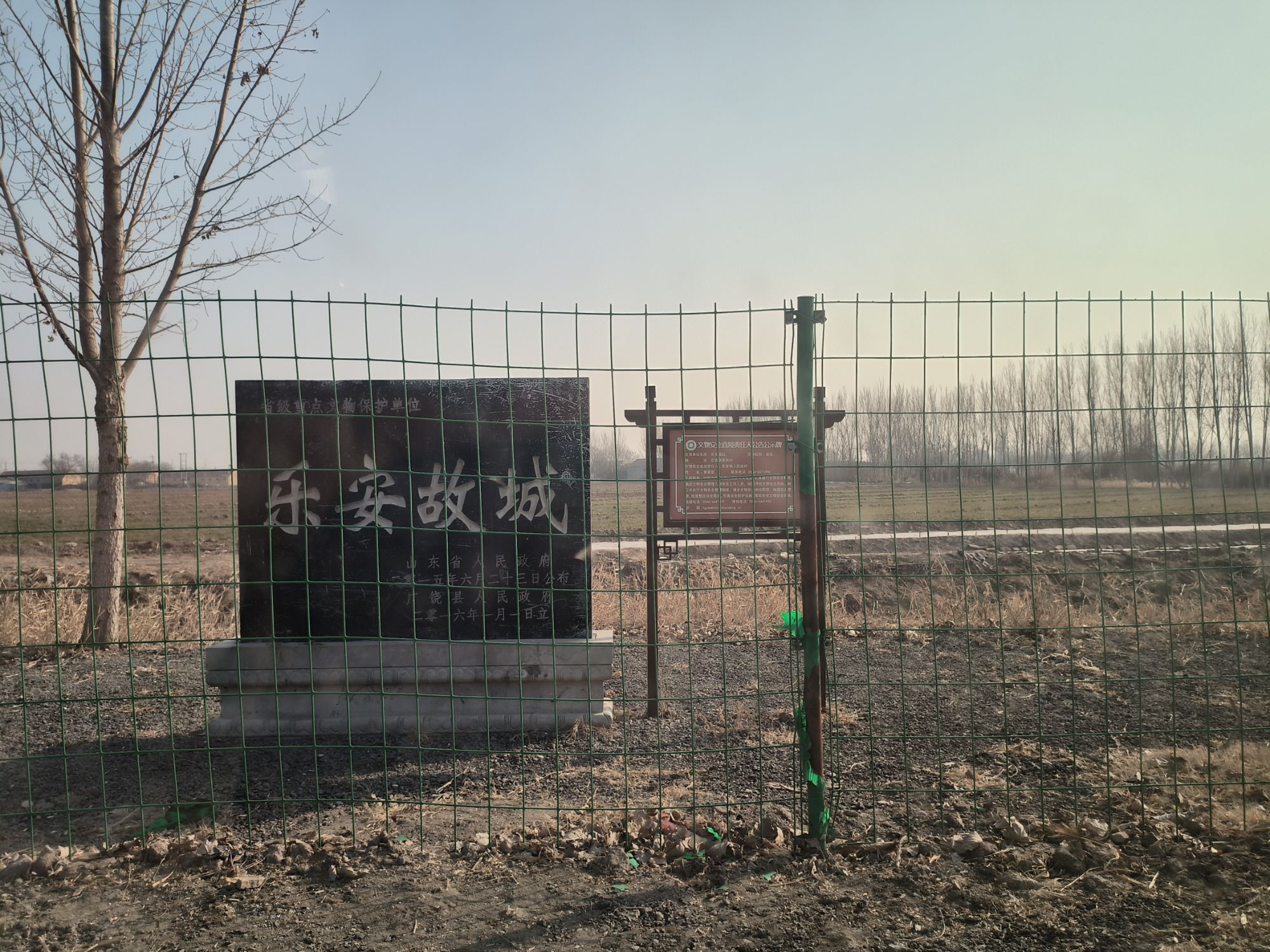 广饶县乐安古城遗址旅行图片