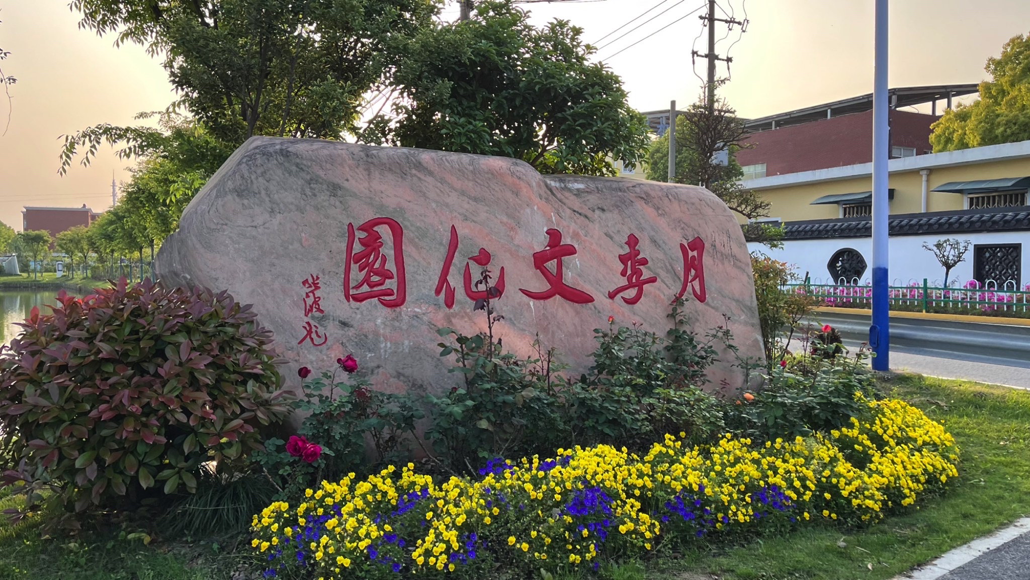 月季文化园旅行图片