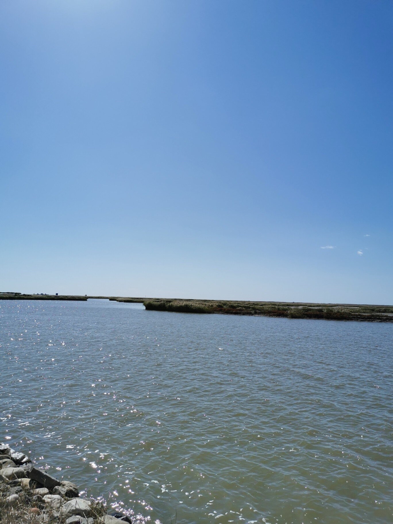 东方湿地公园