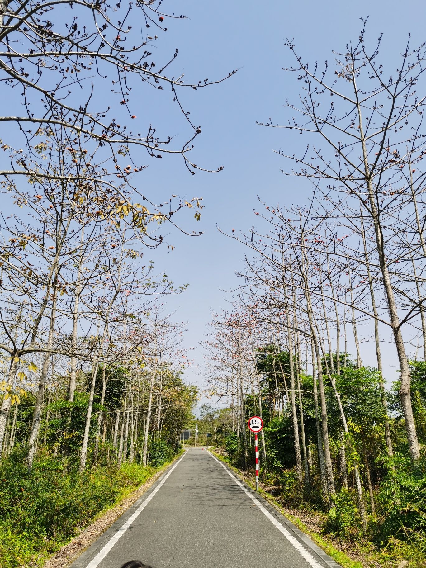 慢客公园