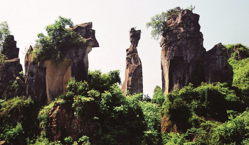 通江县唱歌石林旅游景区旅行图片