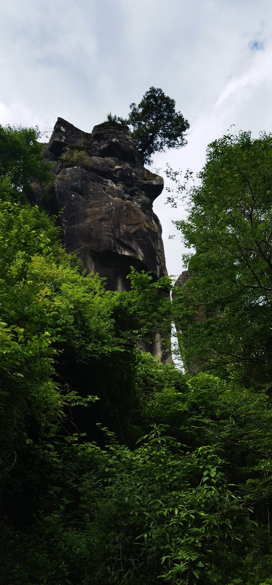 通江县唱歌石林旅游景区旅行图片