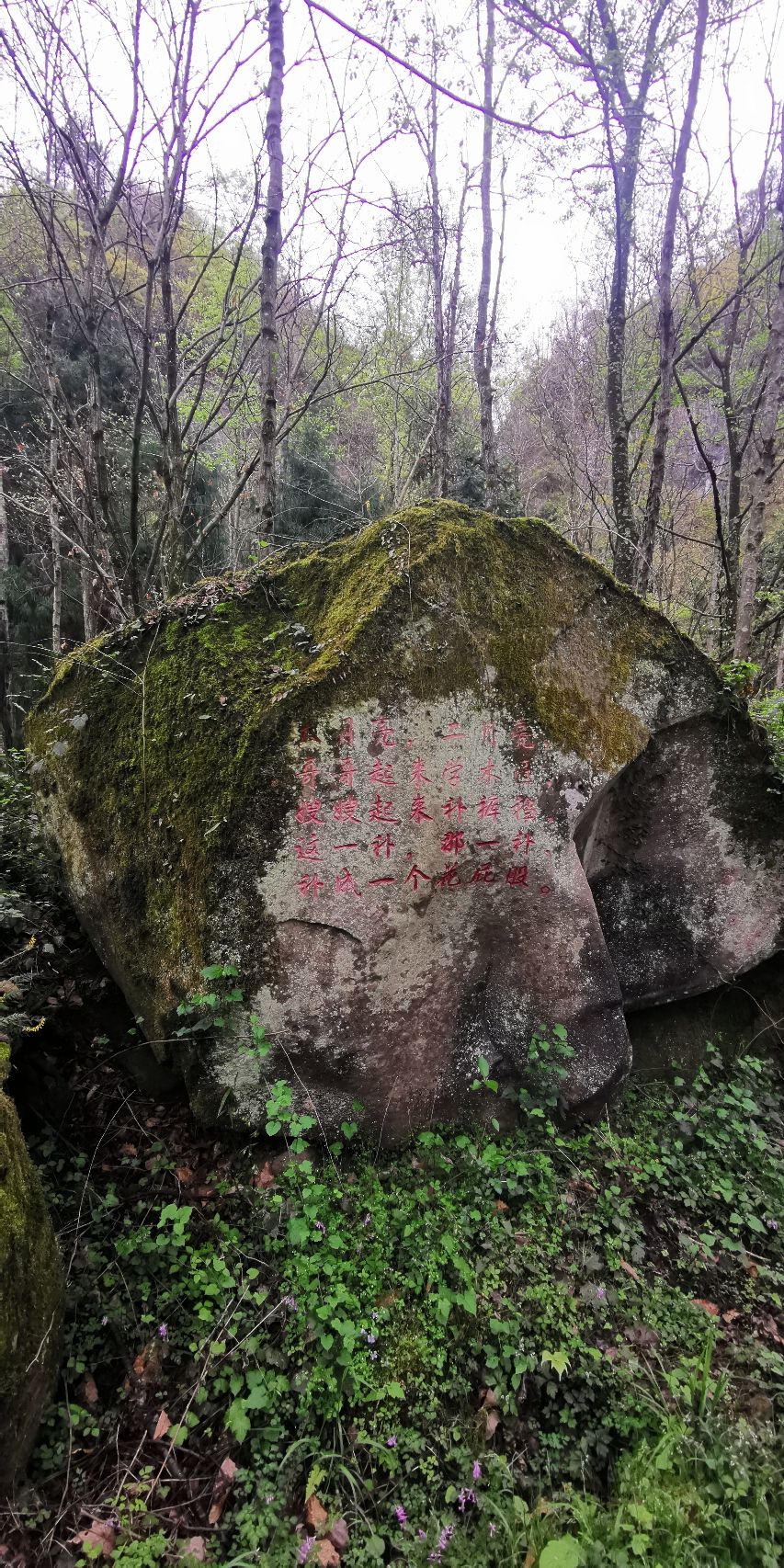 通江县唱歌石林旅游景区旅行图片