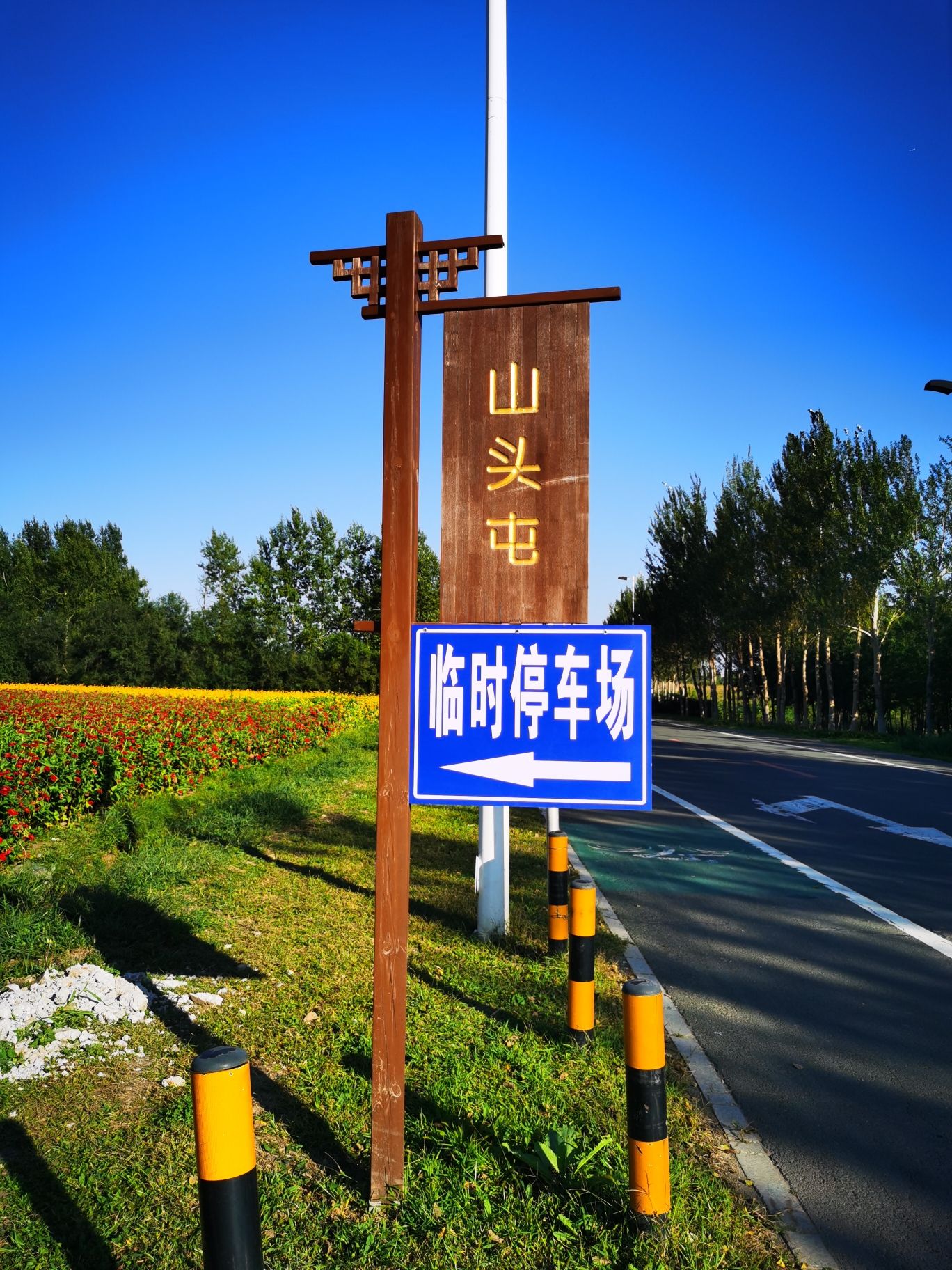 莲花山花海旅行图片