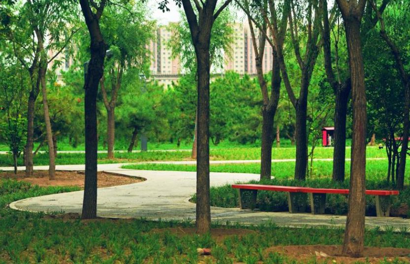 小公园