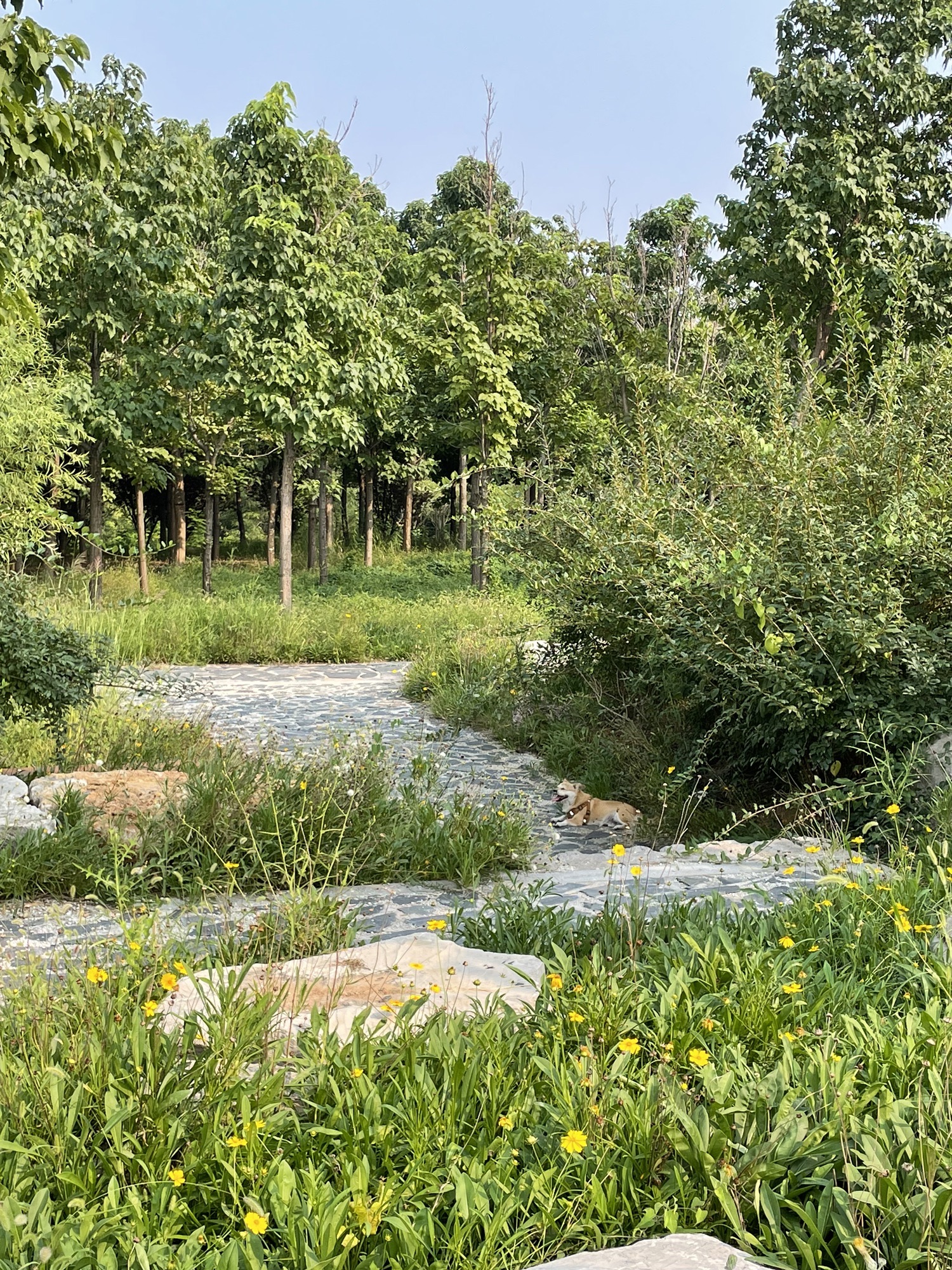 淄博市红螺山公园旅行图片