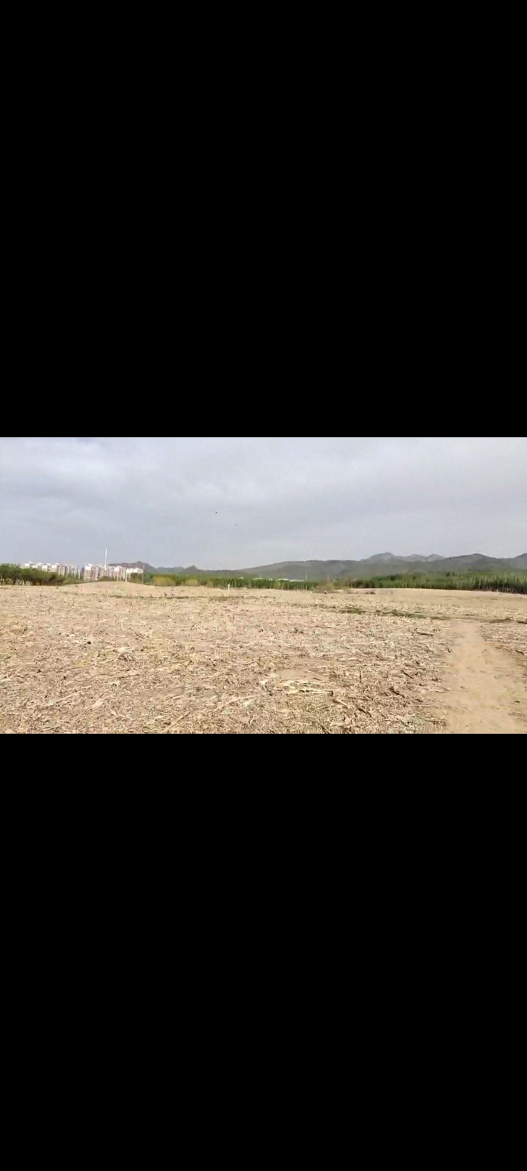 夏各庄滨水生态休闲公园