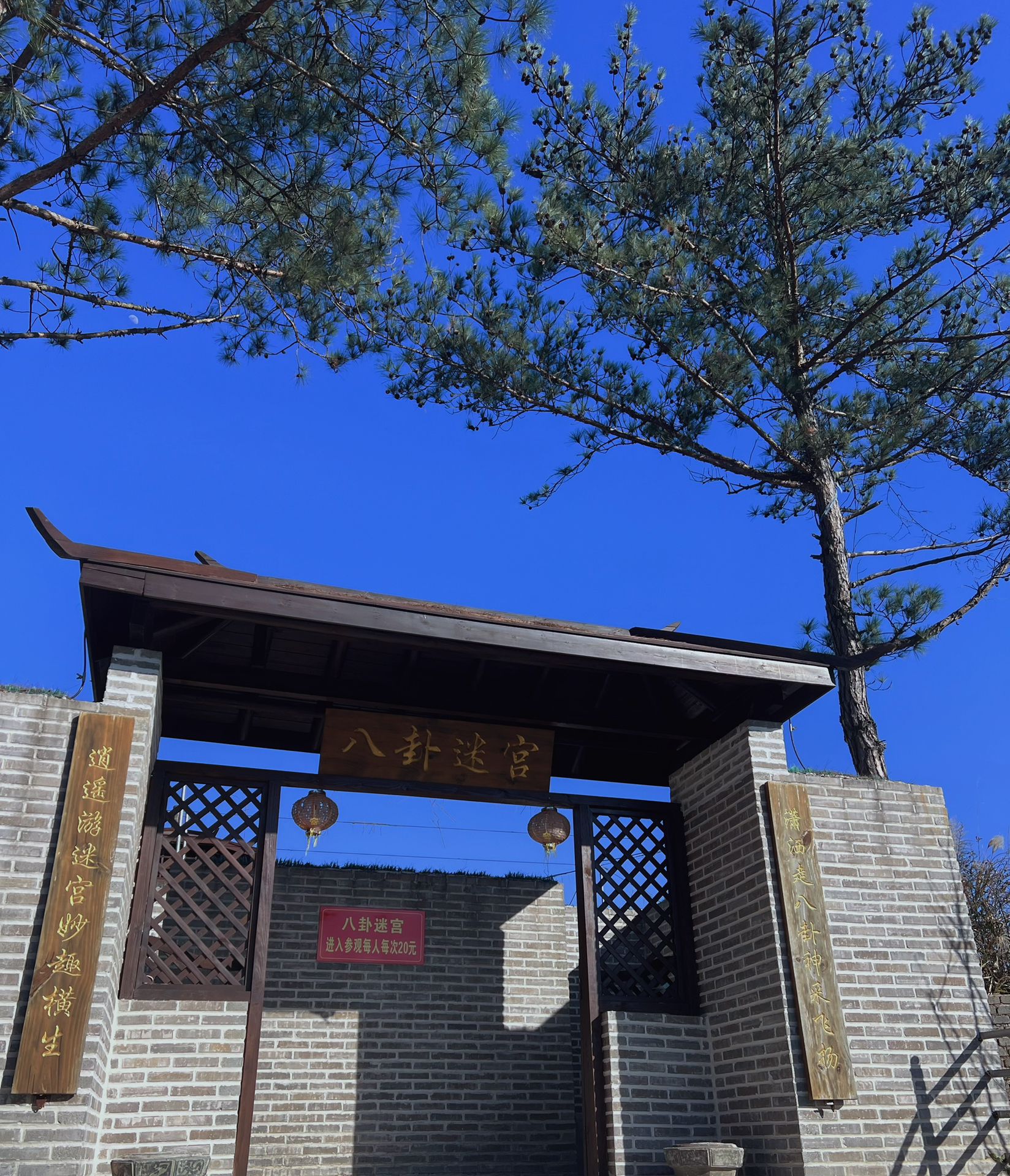 洛江虹山樱梅园景区
