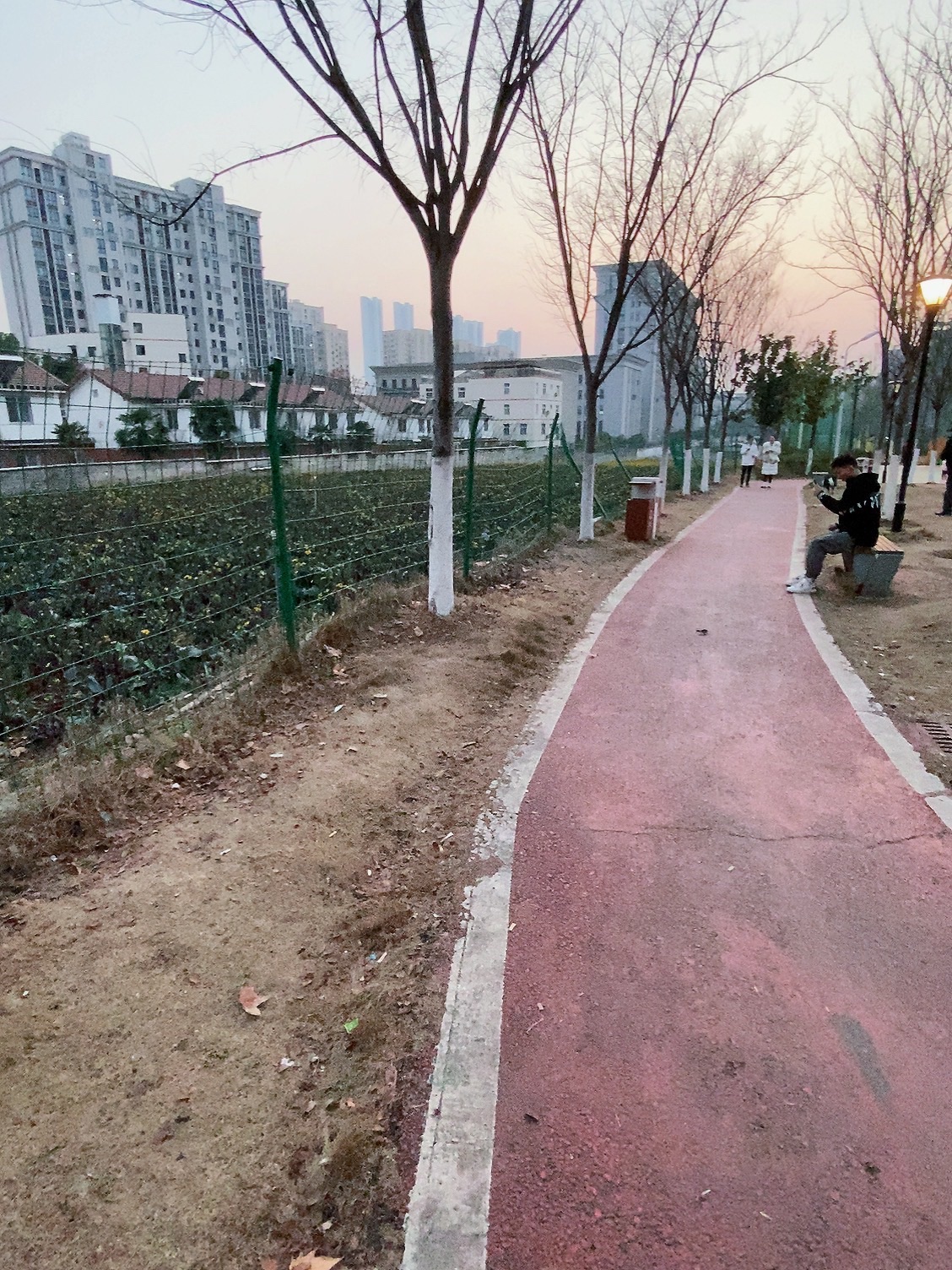 洪山菜薹公园