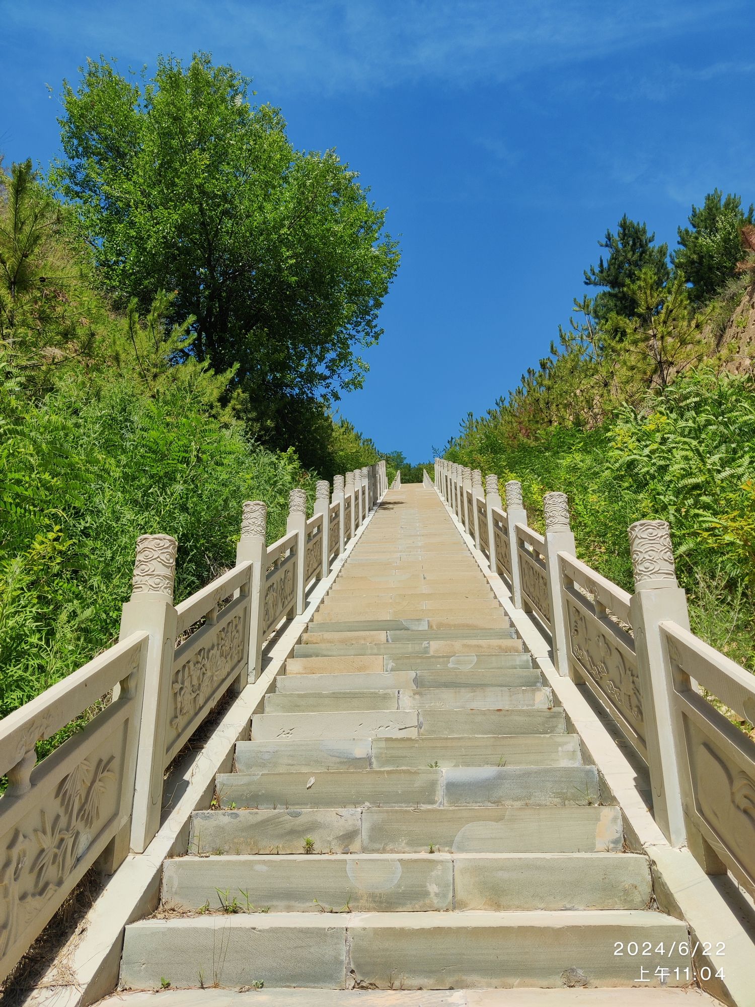 离石区森林公园旅行图片