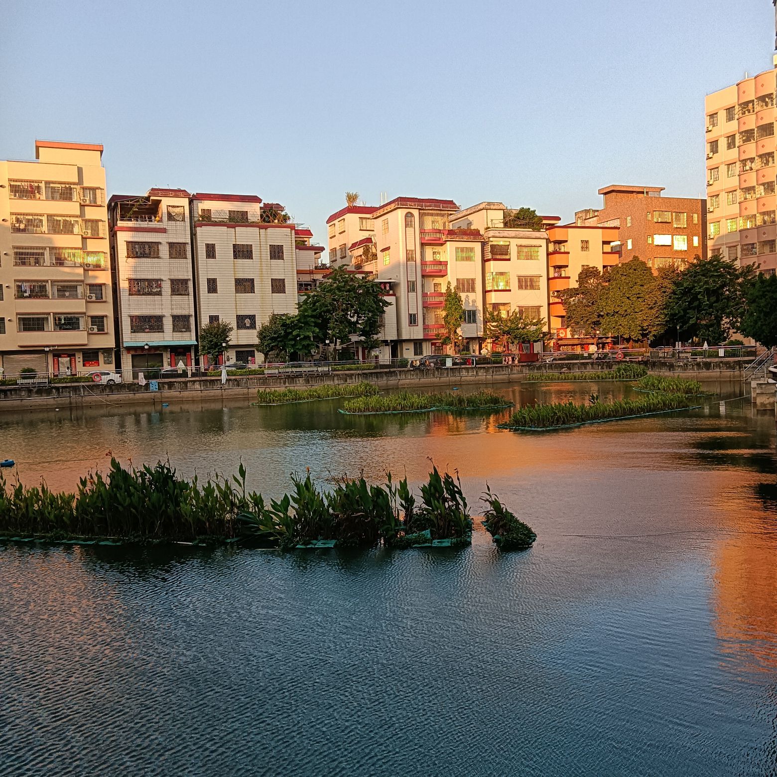 明星公园