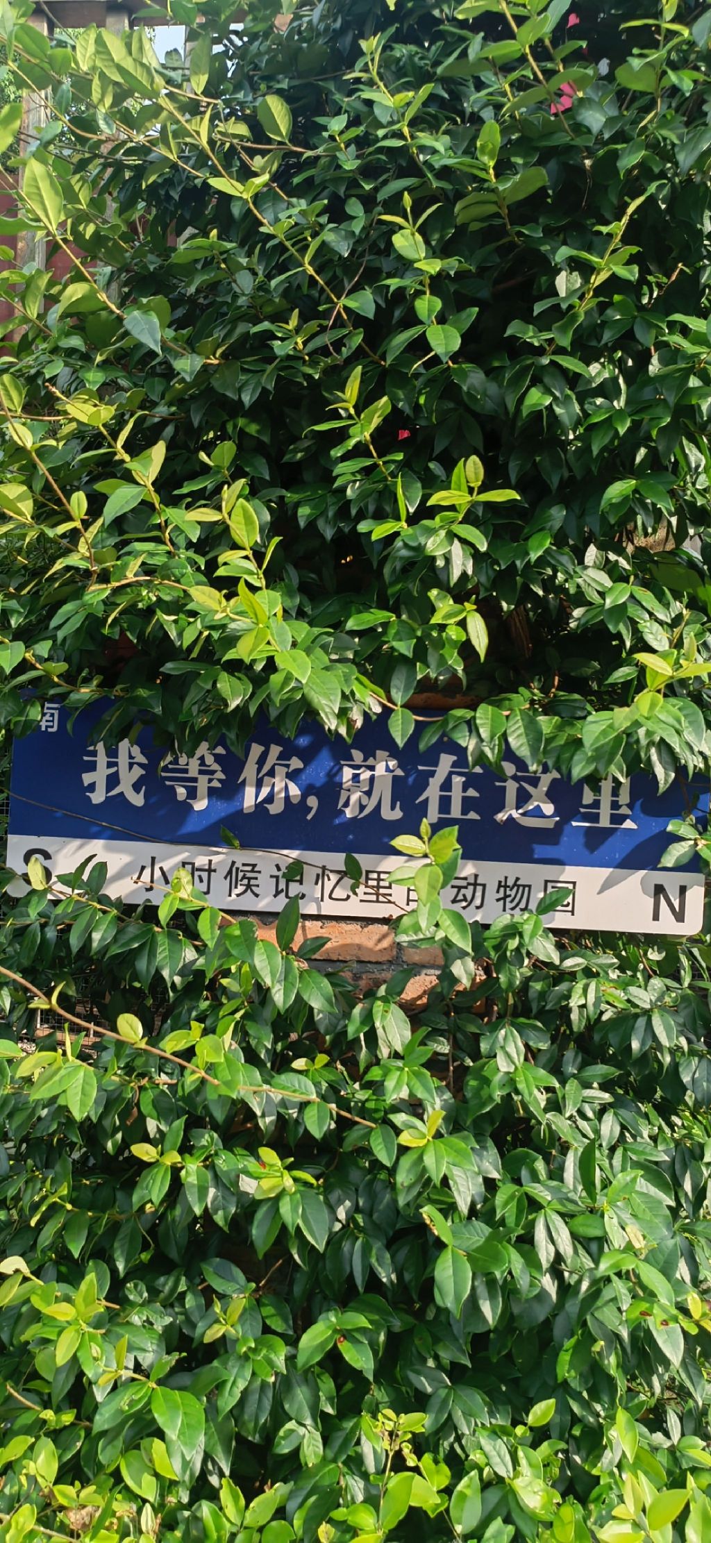 怀化野生动植物园
