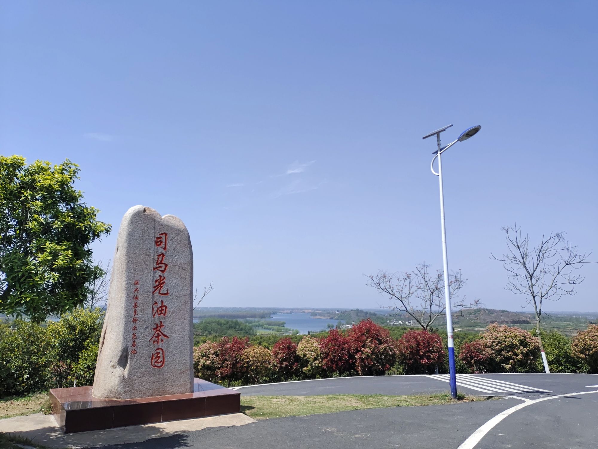 司马光油茶园
