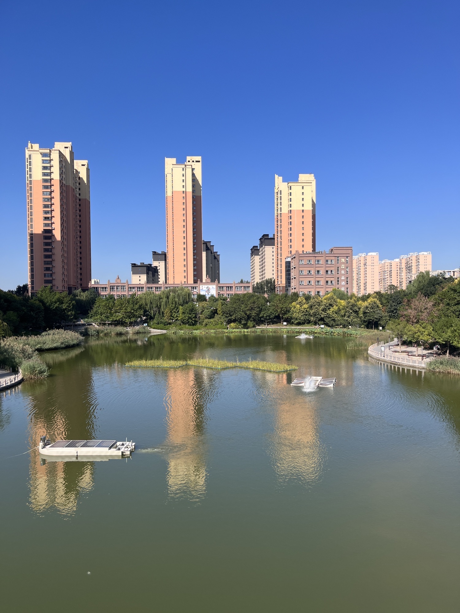 永盛公园旅行图片