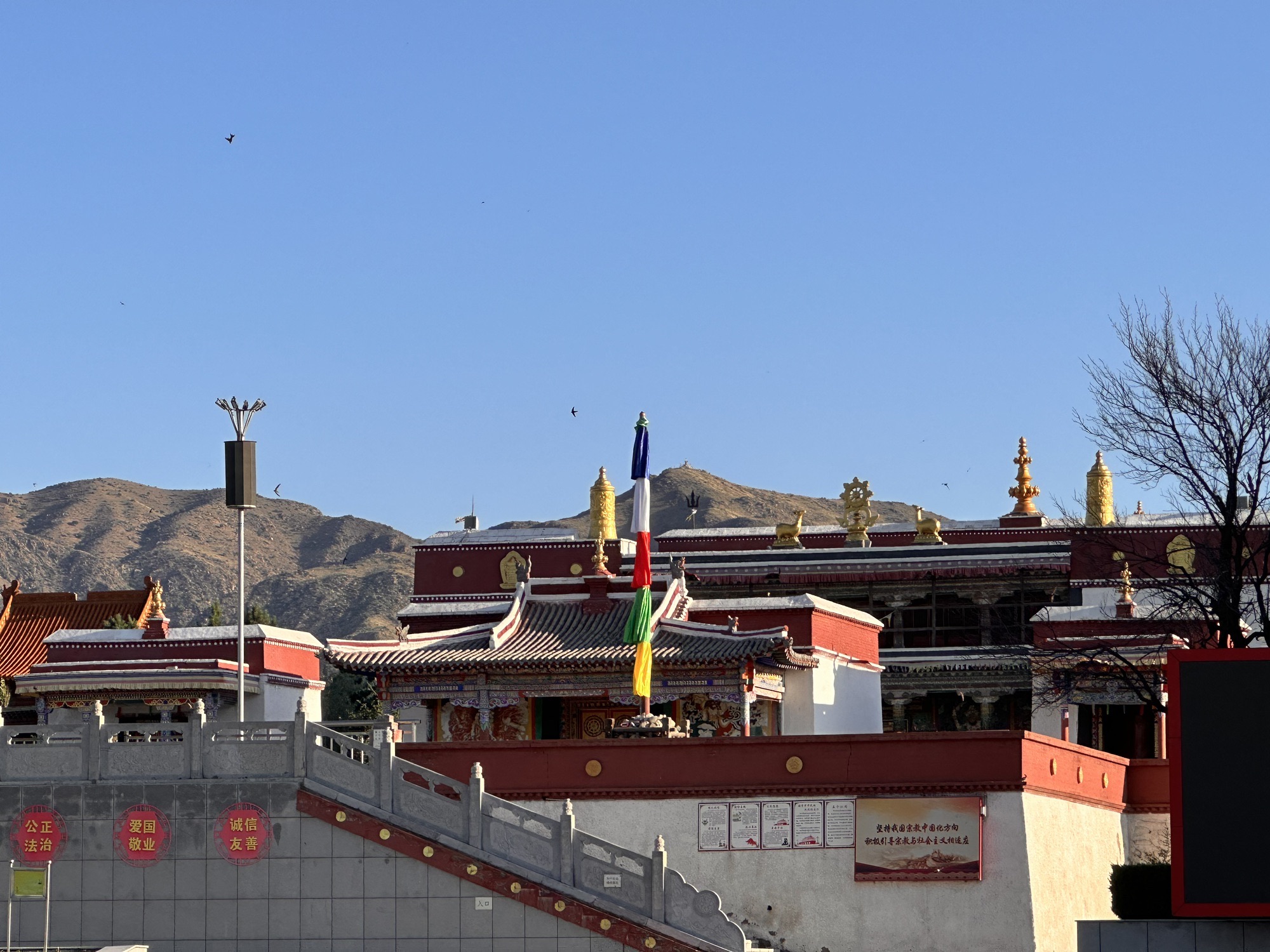 包头昆都仑河国家湿地公园旅行图片