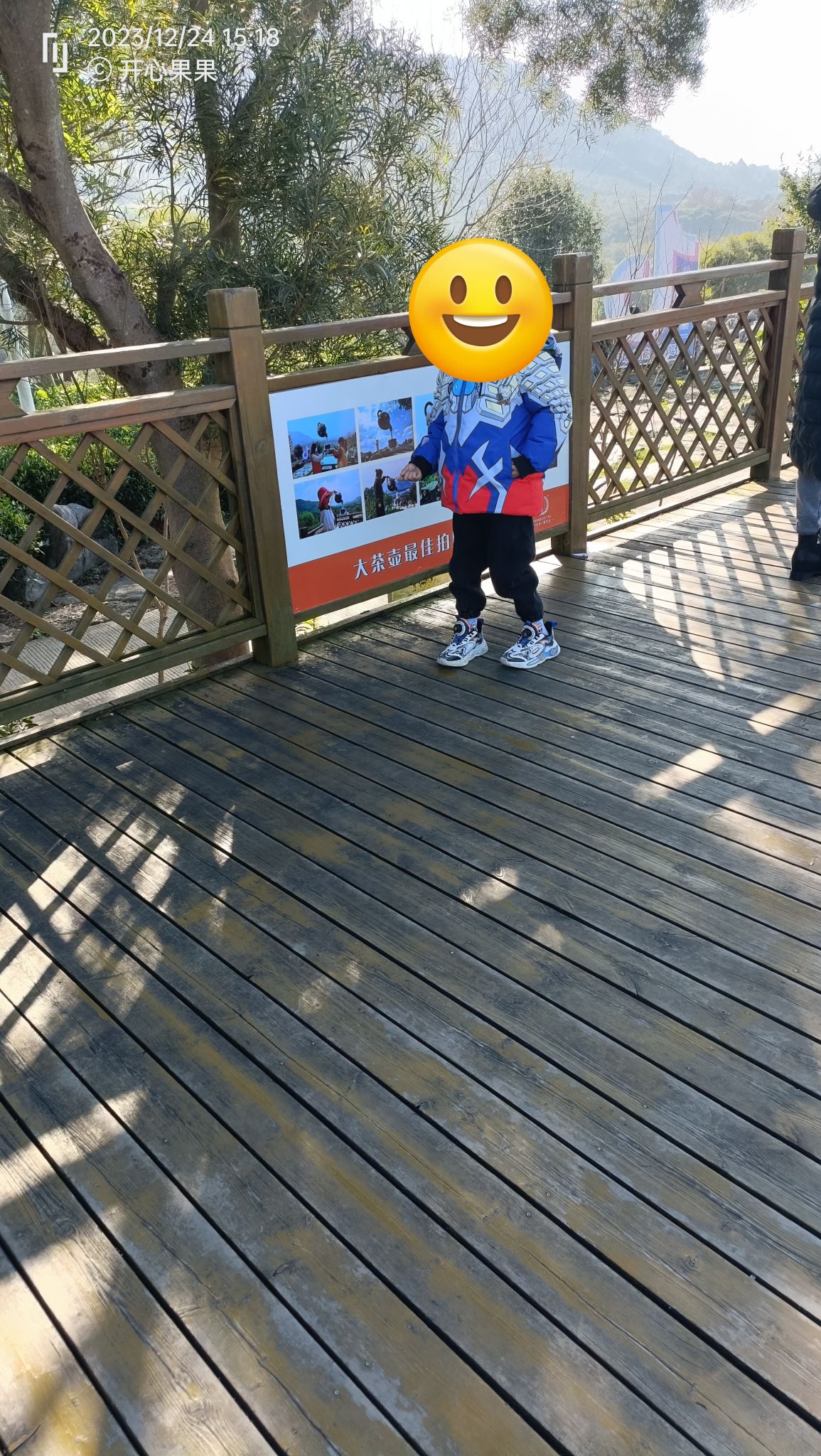 茶趣园景区
