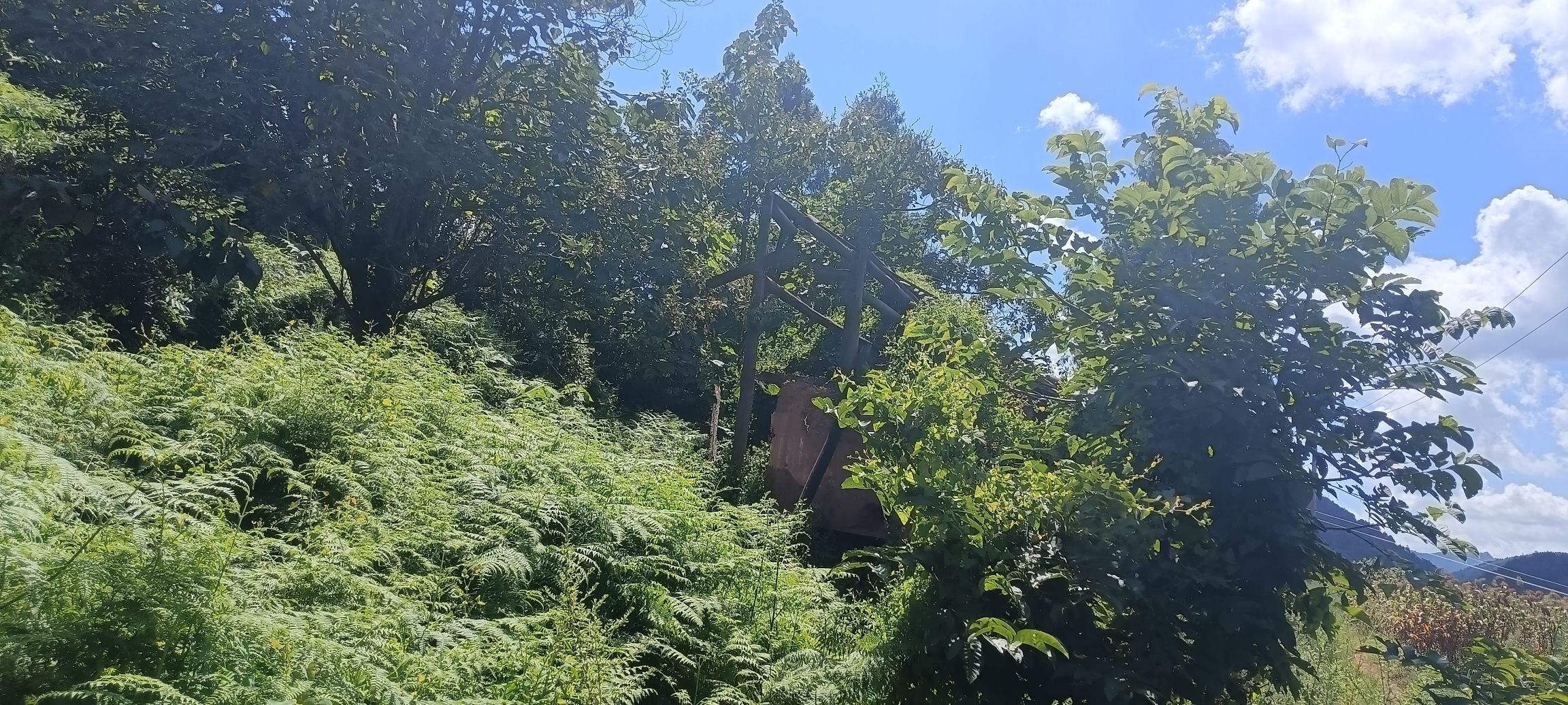 大村文化广场