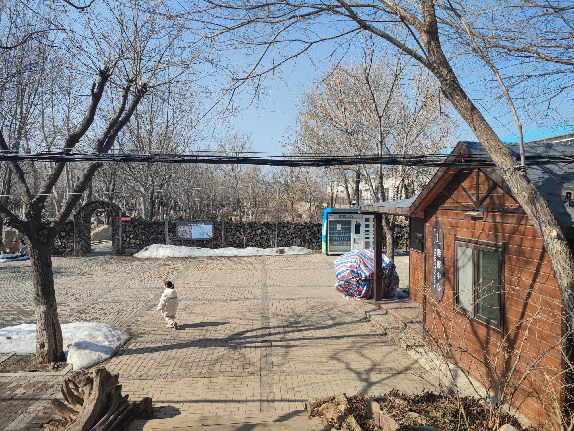 隅园旅行图片