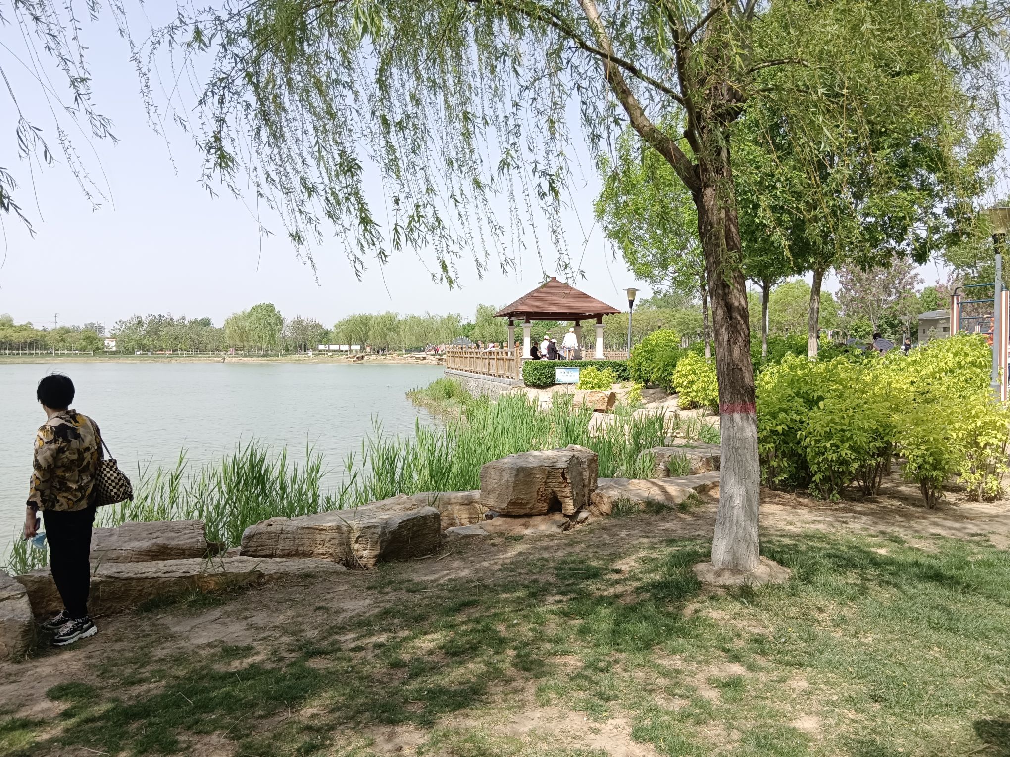 任丘市植物园