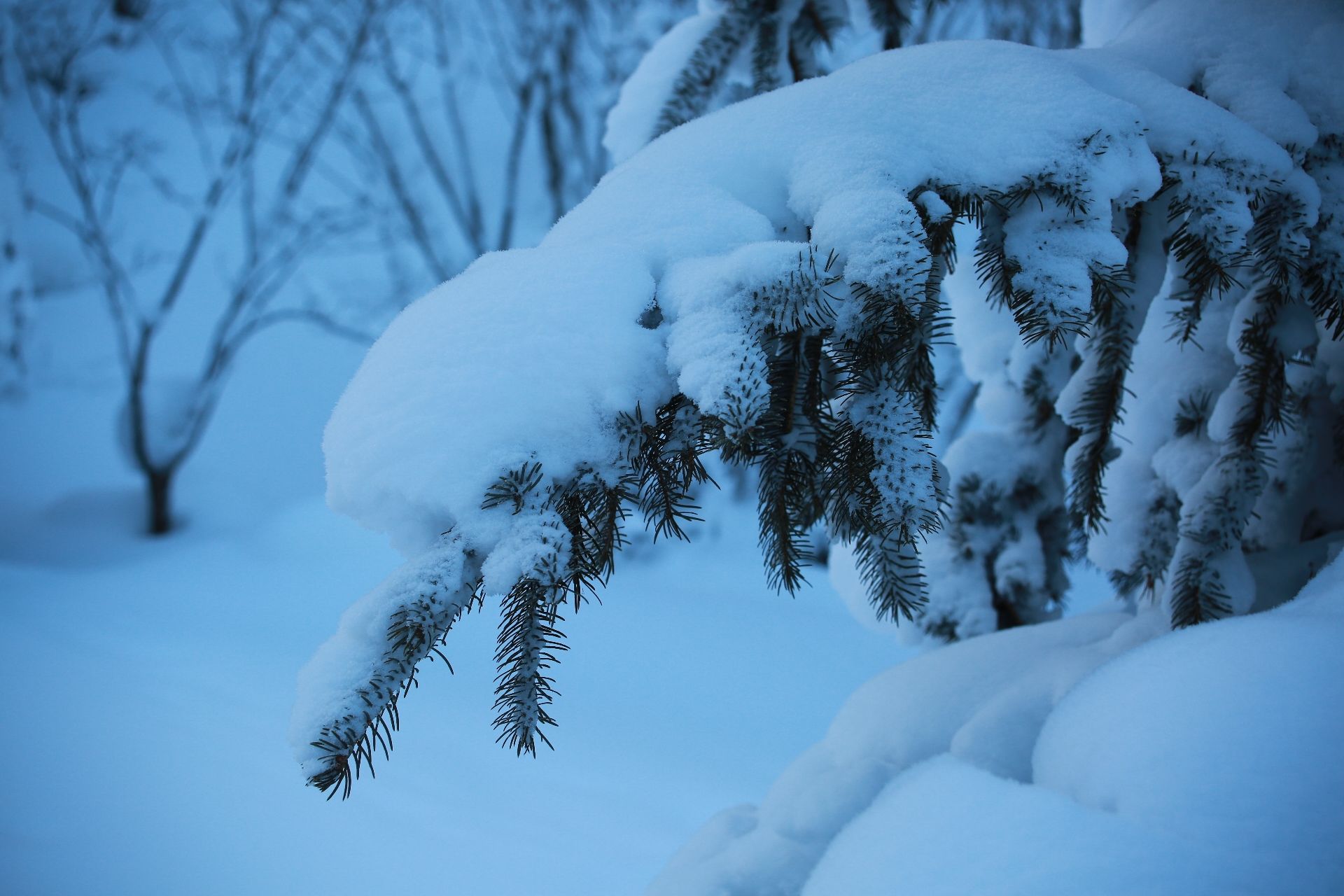 中国雪谷雾凇岭景区