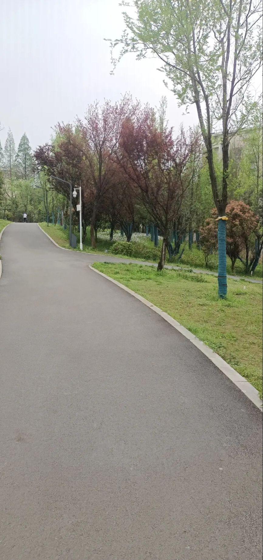 新苗公园
