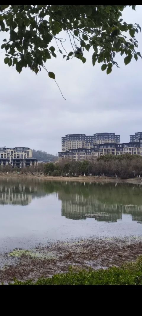 介溪湿地公园