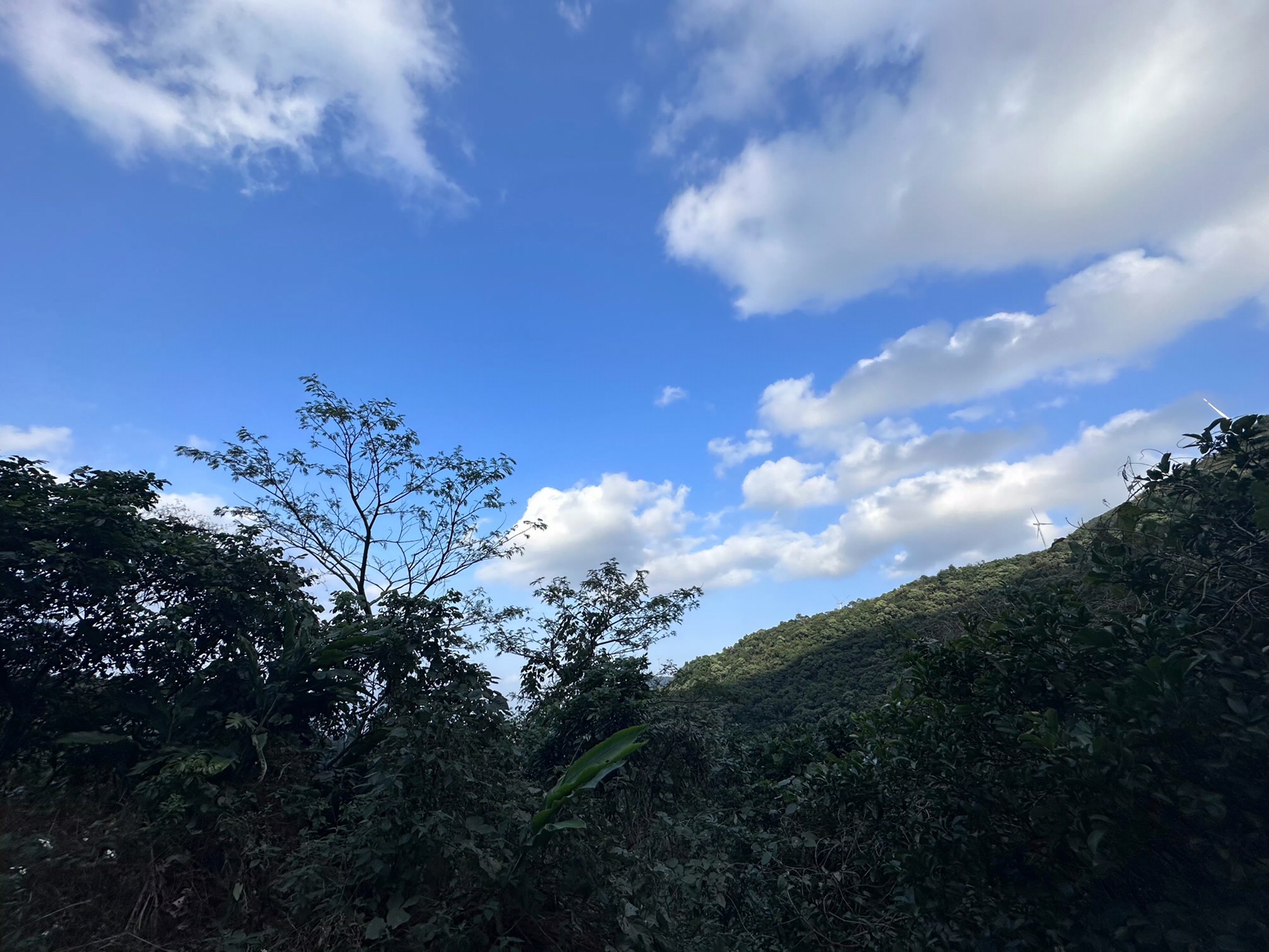 浮山岭风景区