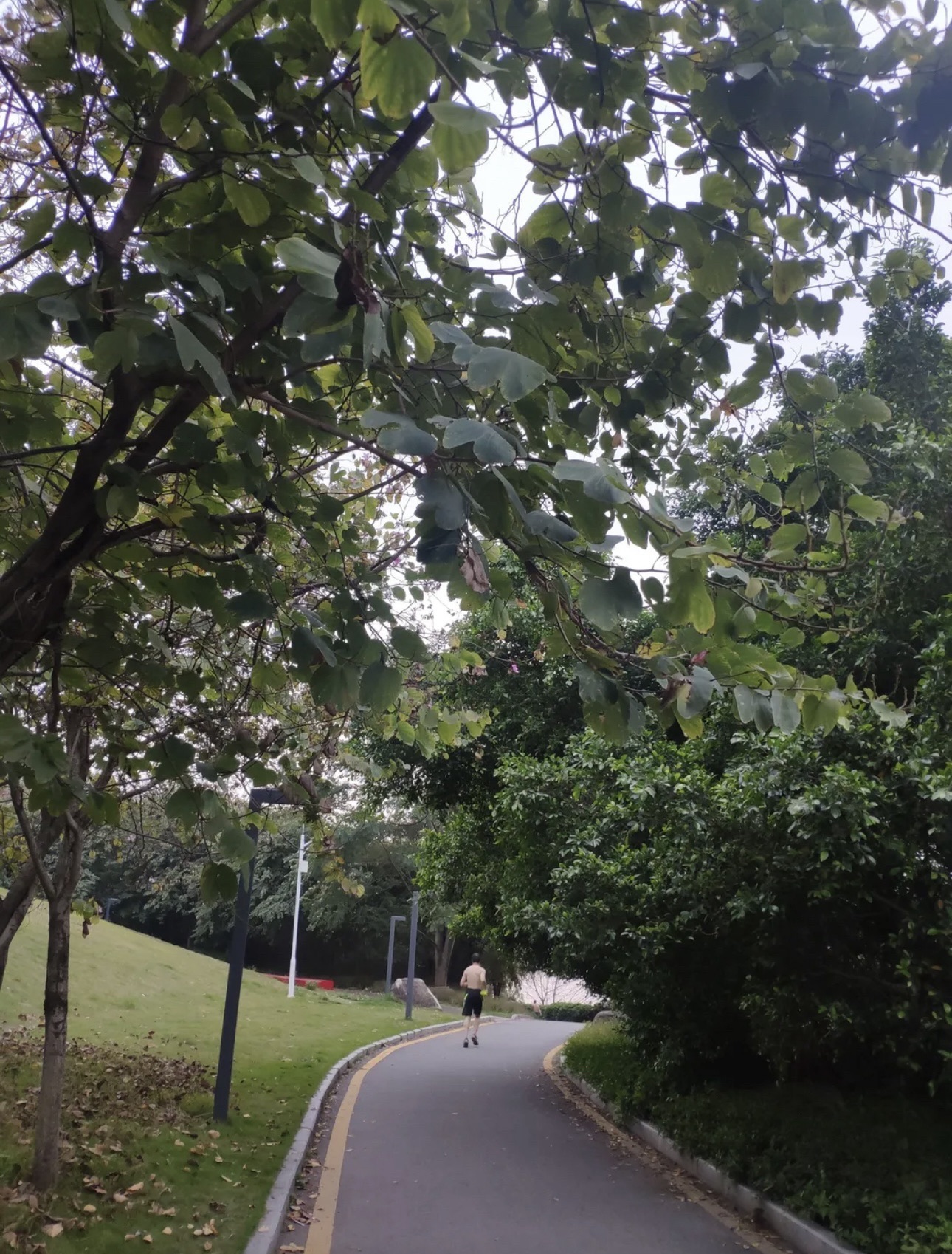 北滨江公园