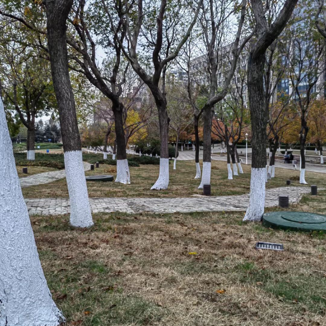 时尚三里河市民广场旅行图片