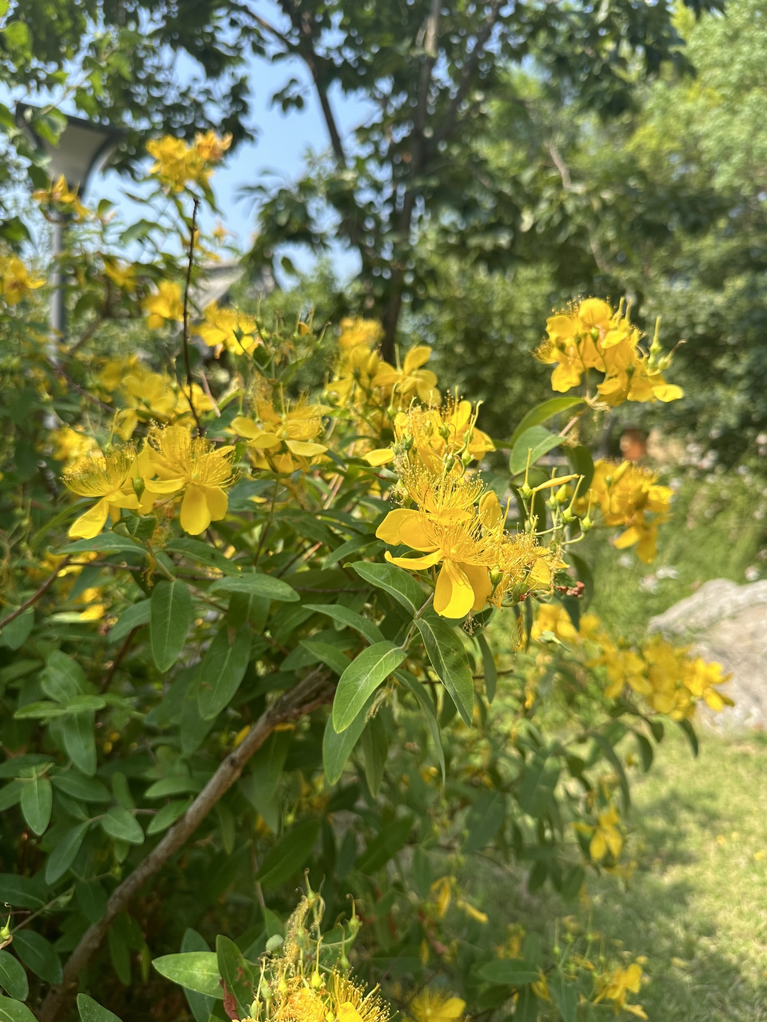 圣母泉