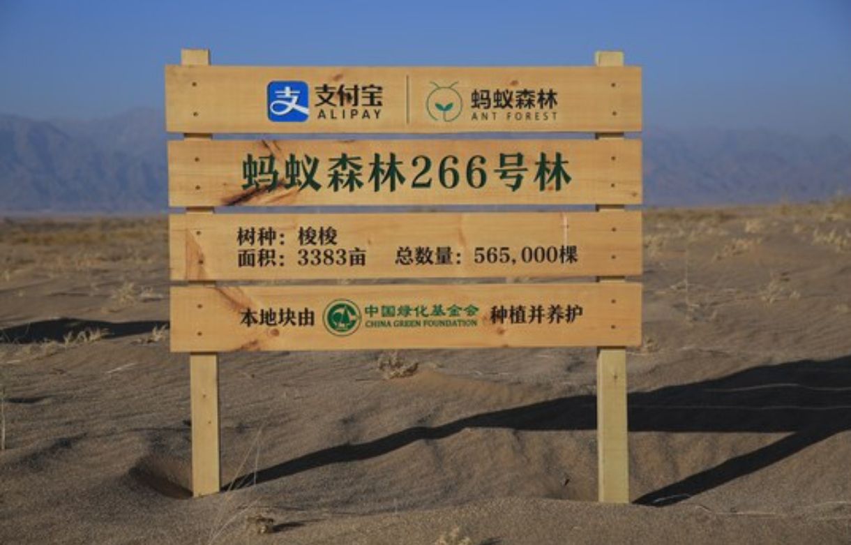 蚂蚁森林266号林