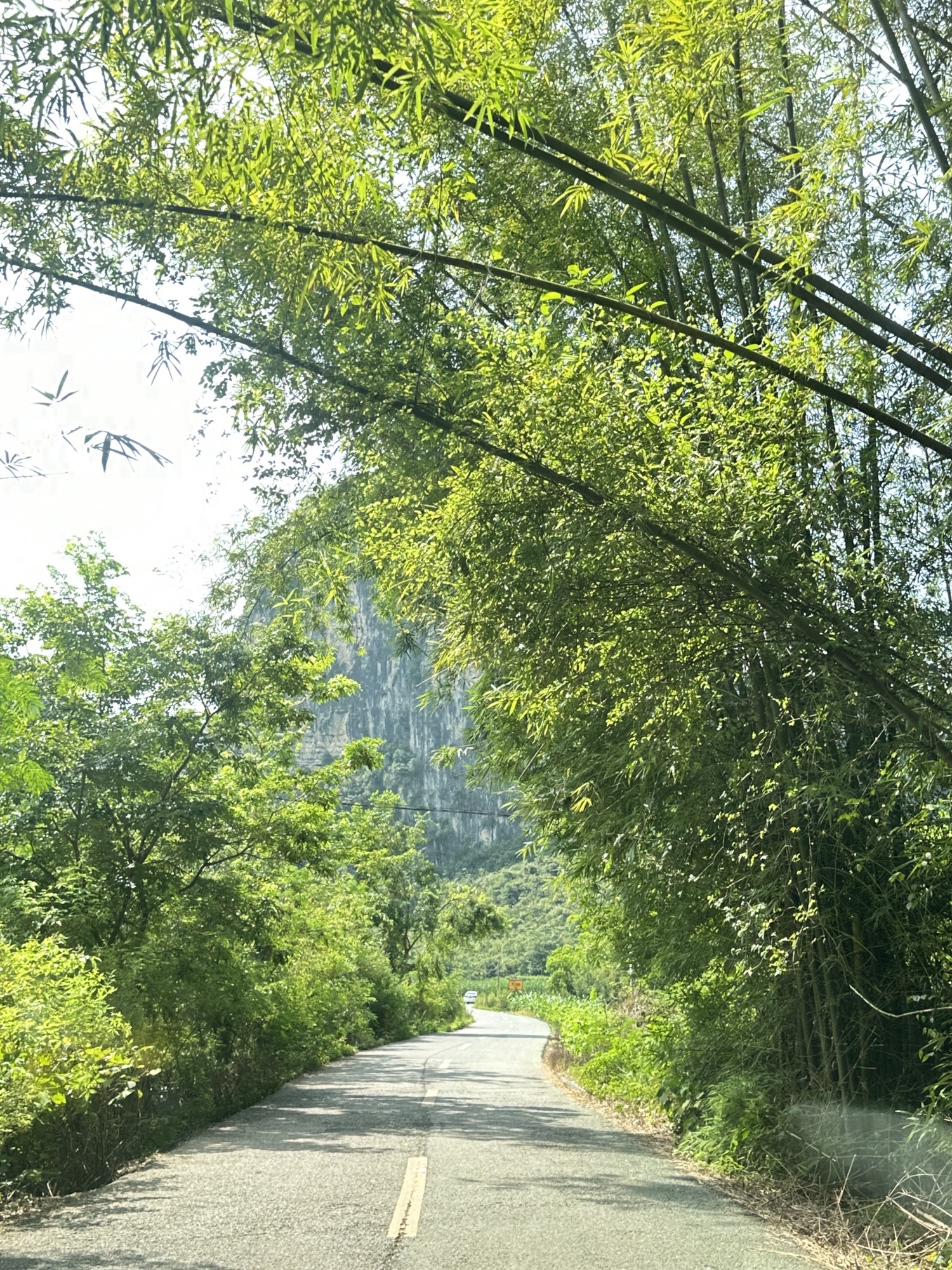 河池市城市风景