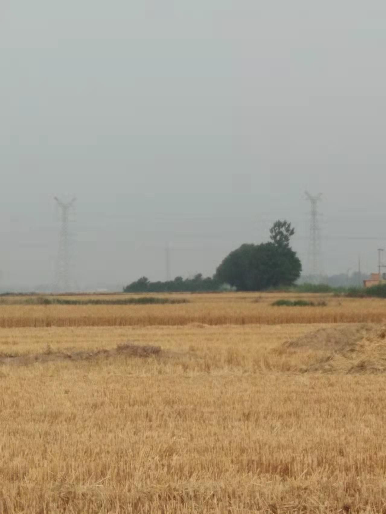 长青观旅行图片