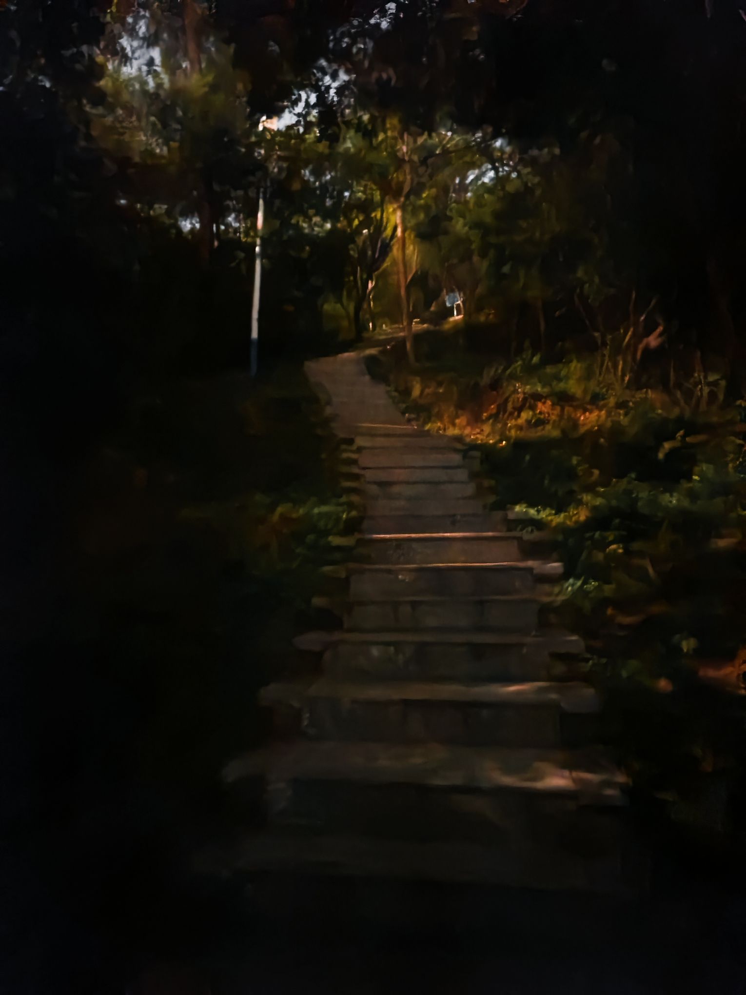 天马山郊野公园