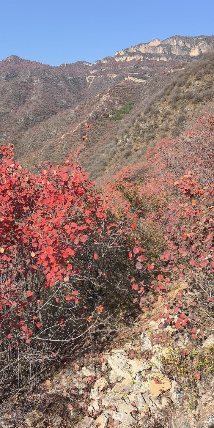 庄子岭景区