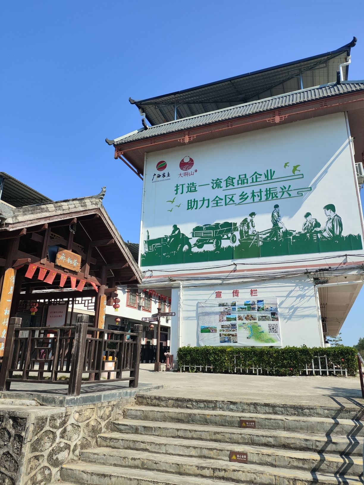 大明山万古茶园旅行图片