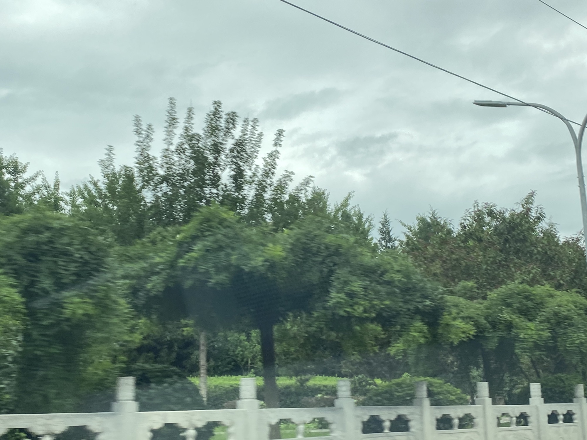 桥梓公园