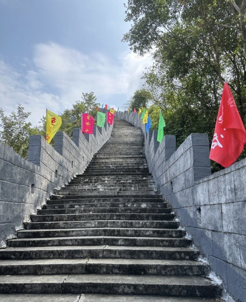 龟岭谷旅行图片