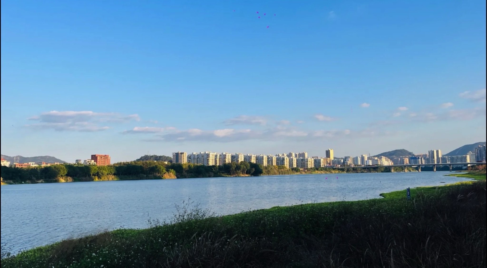 城西湿地公园