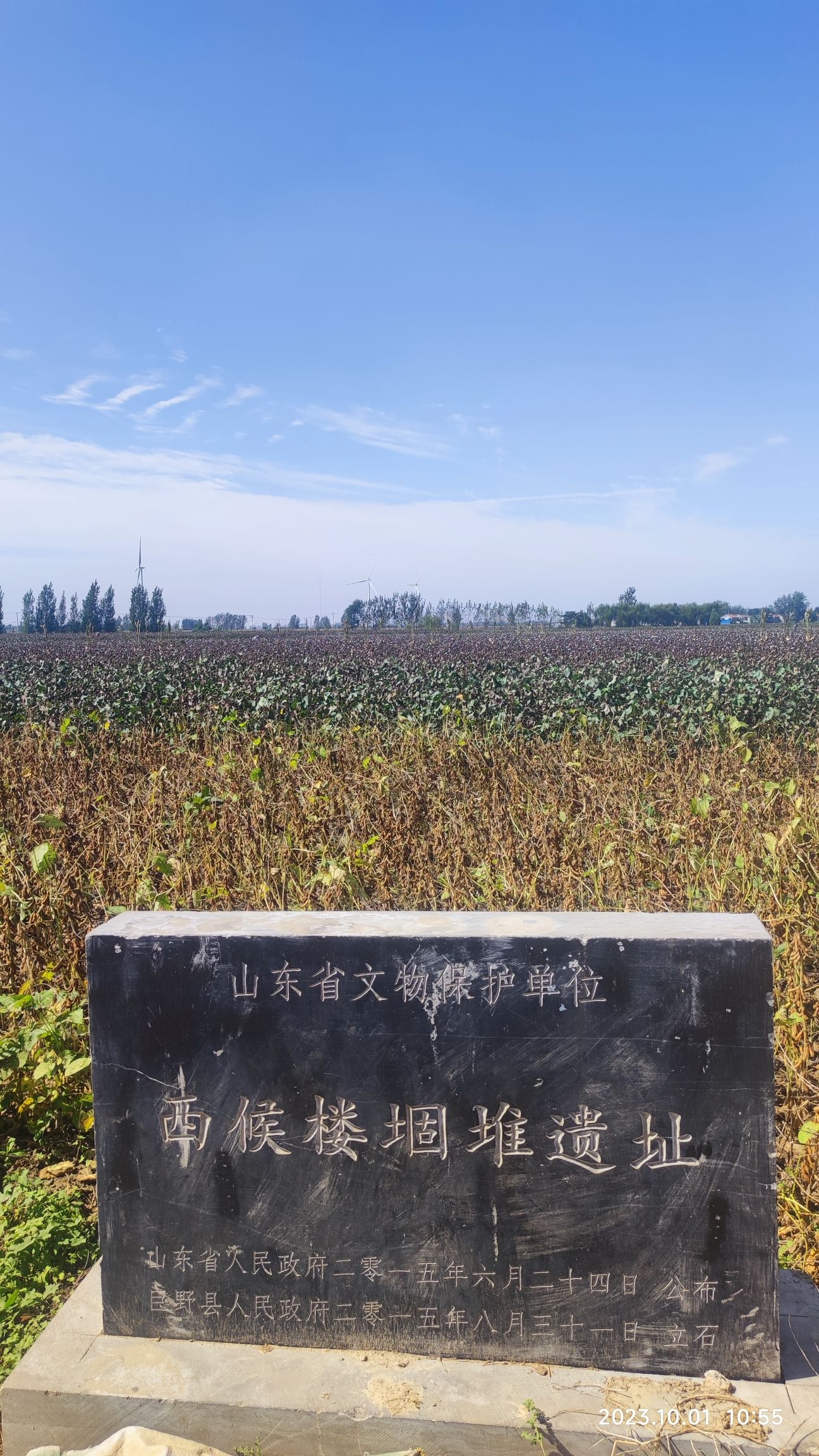 西候楼堌堆遗址