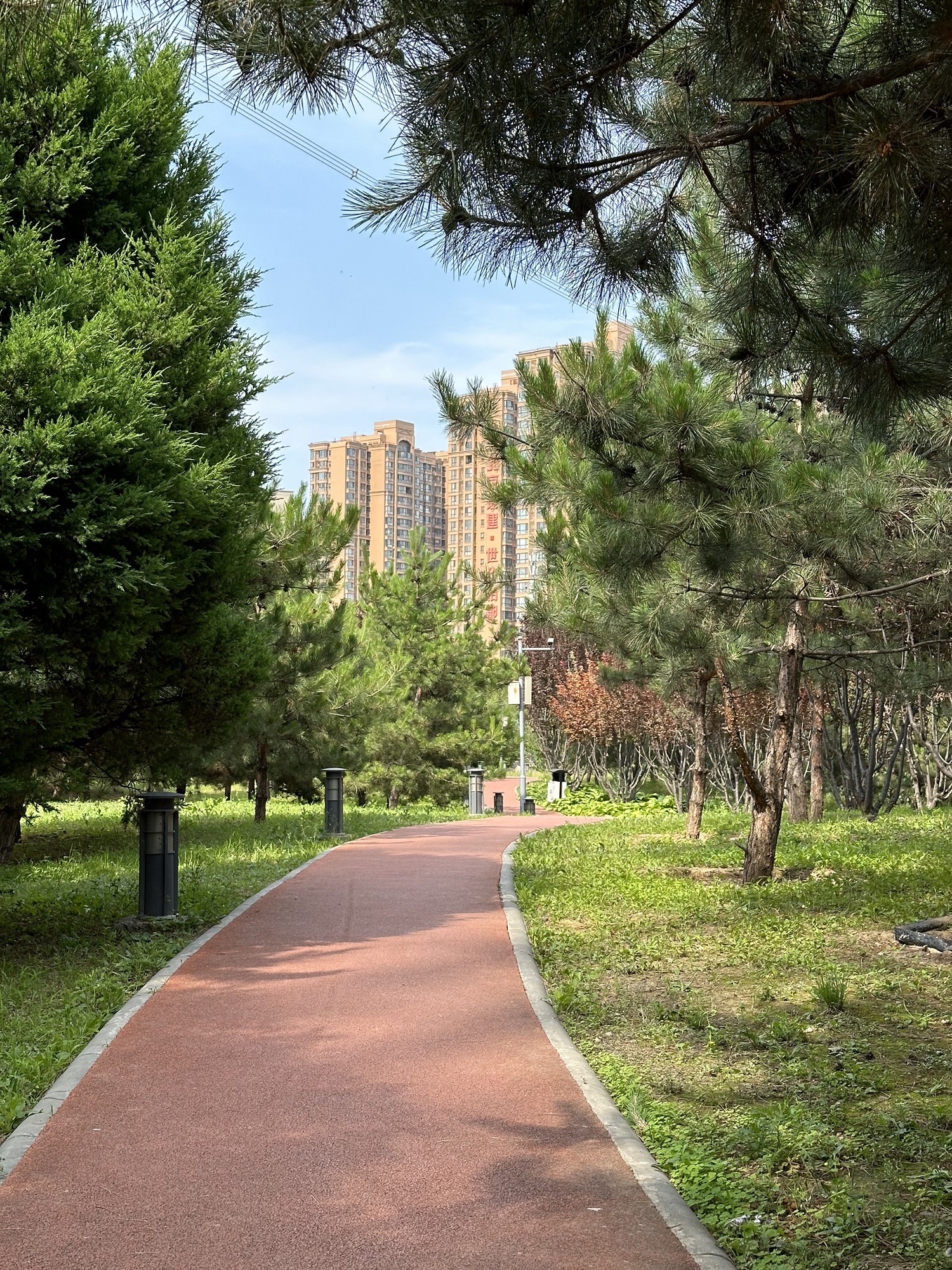 来广营地区滨河公园旅行图片