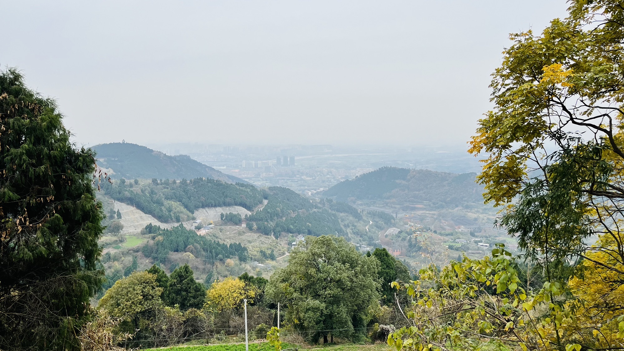 金堂山森林公园