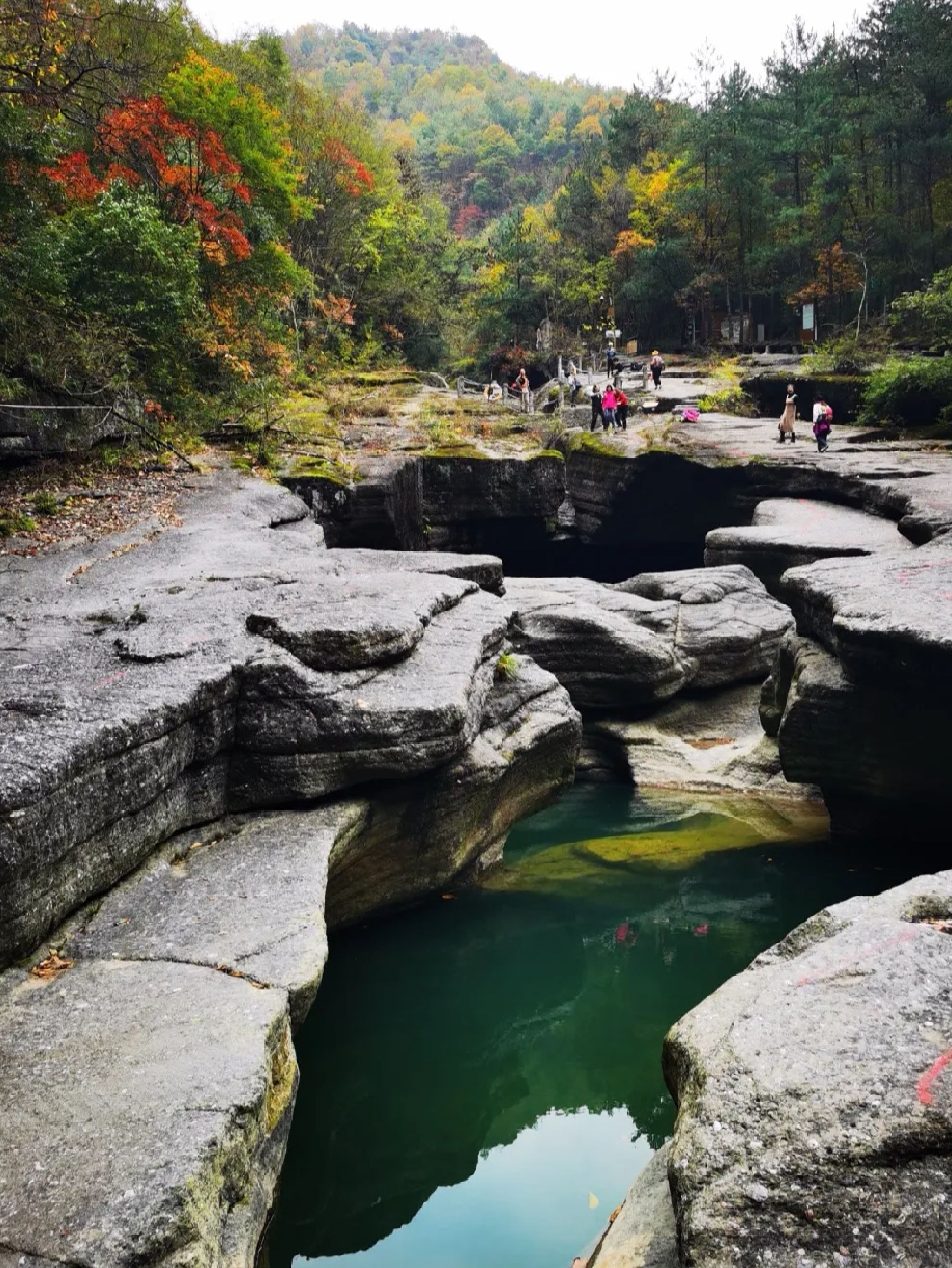 米仓山大峡谷旅游区旅行图片