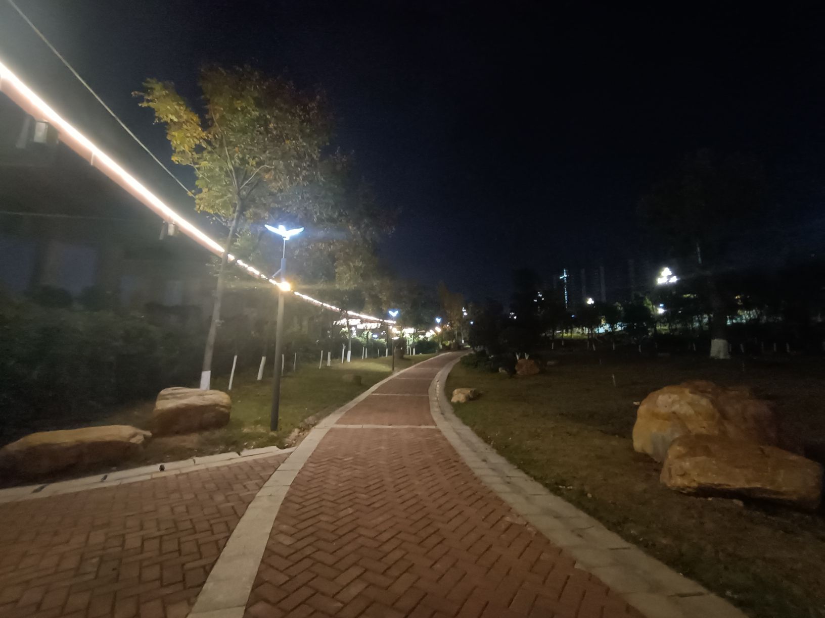 陆家新区中心公园旅行图片