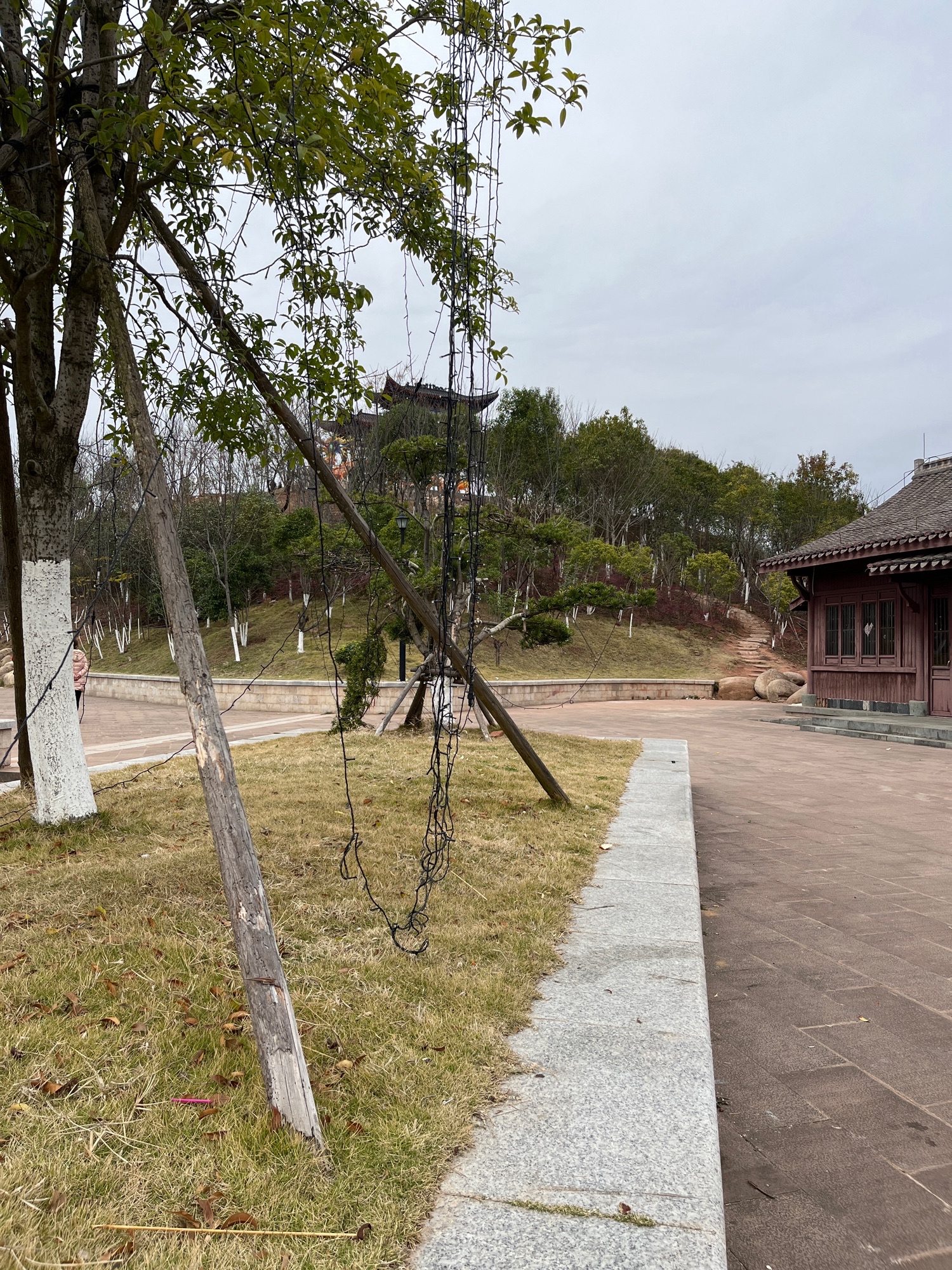 蟠龙山体公园