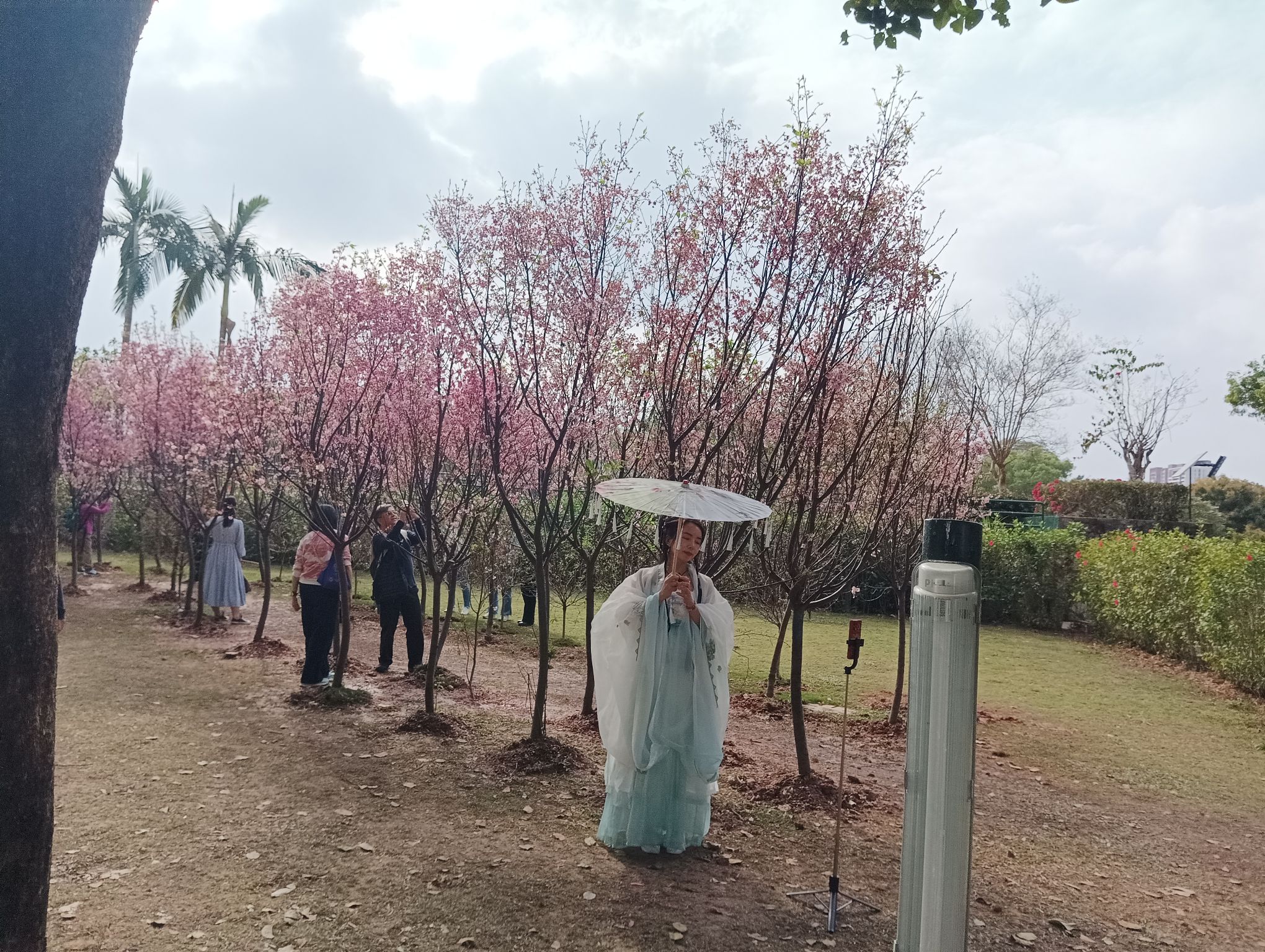 观澜湖生态运动公社