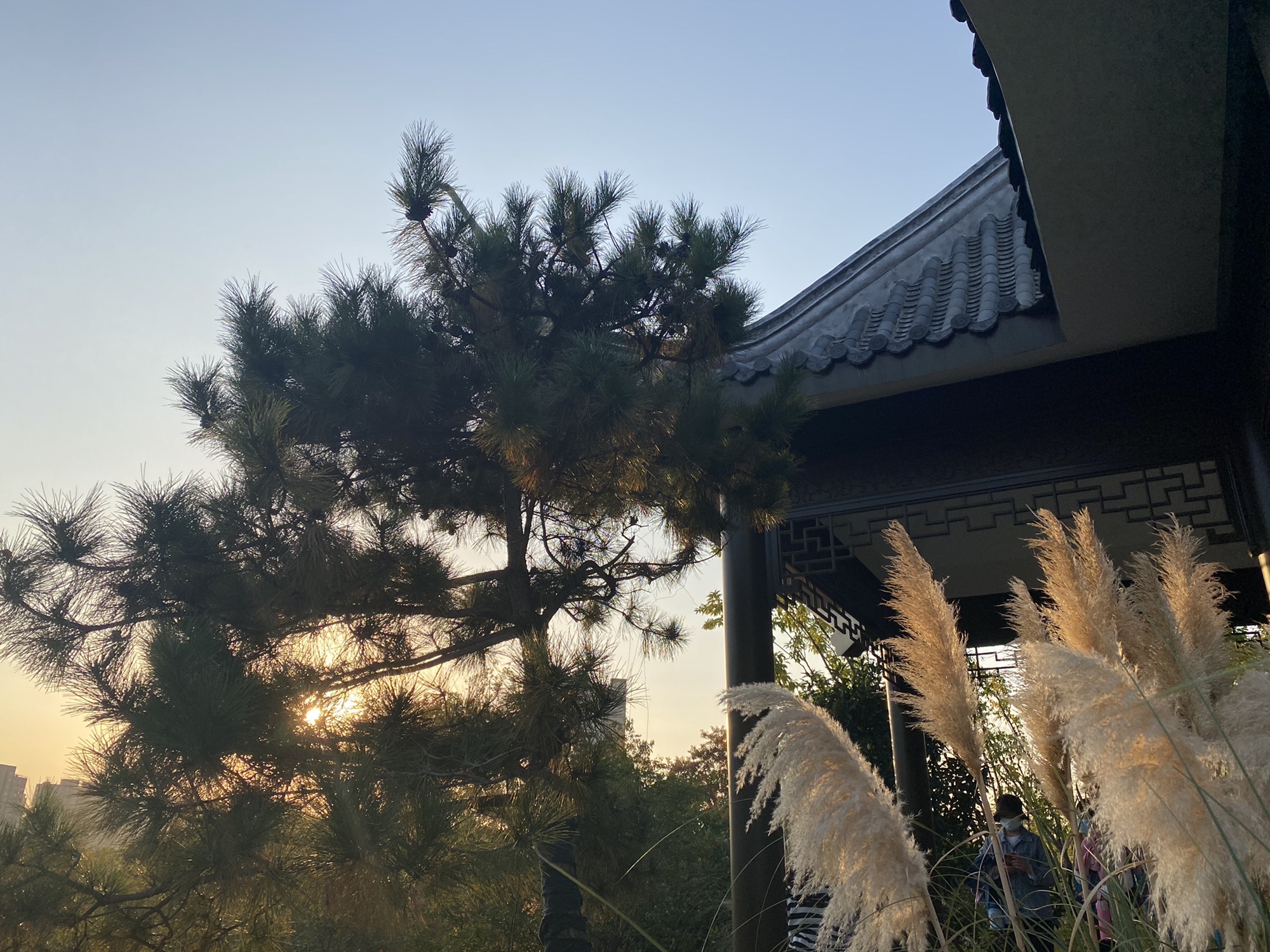 卧牛山公园旅行图片